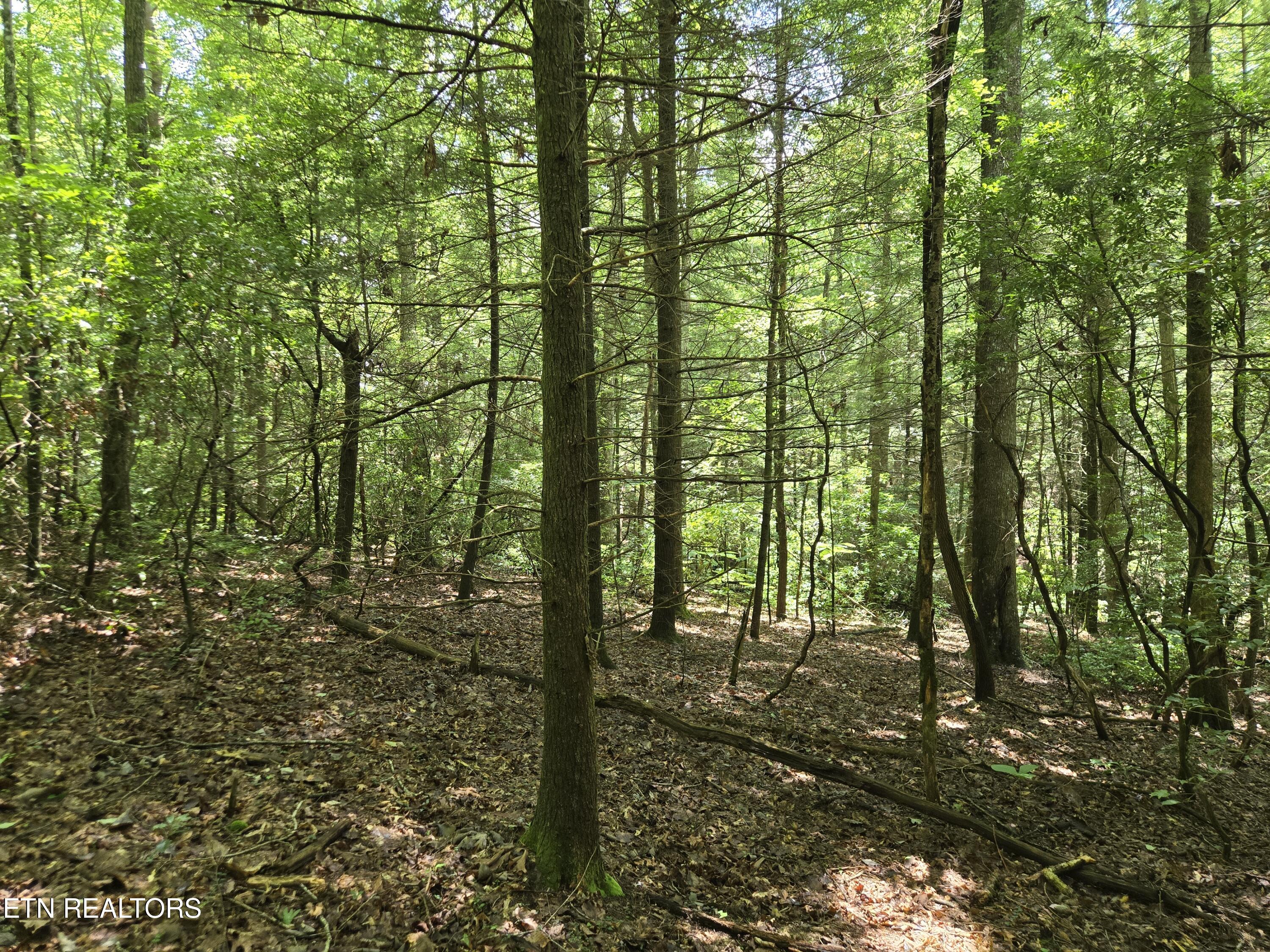523 General Lane Jamestown TN 38556