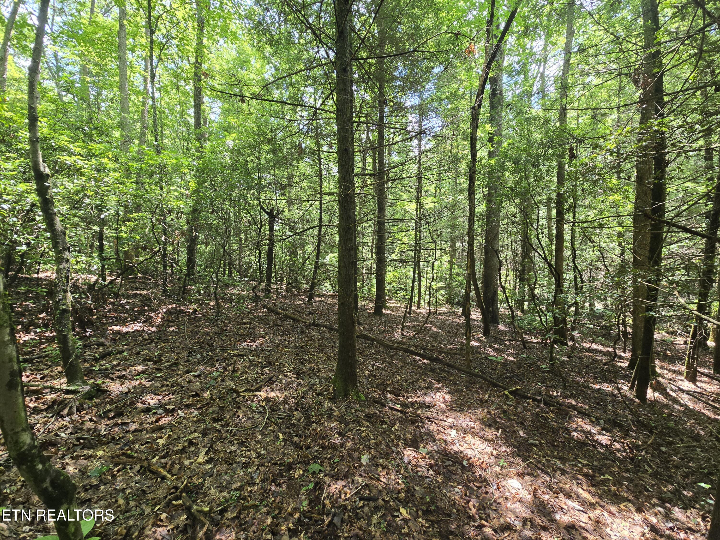 523 General Lane Jamestown TN 38556