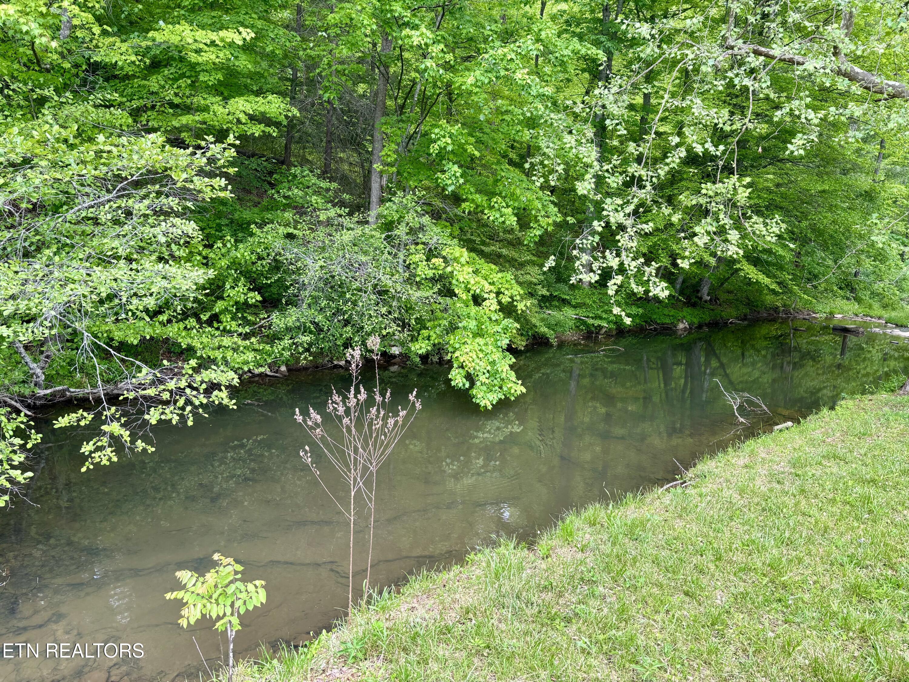 361 Cotula Road Duff TN 37729