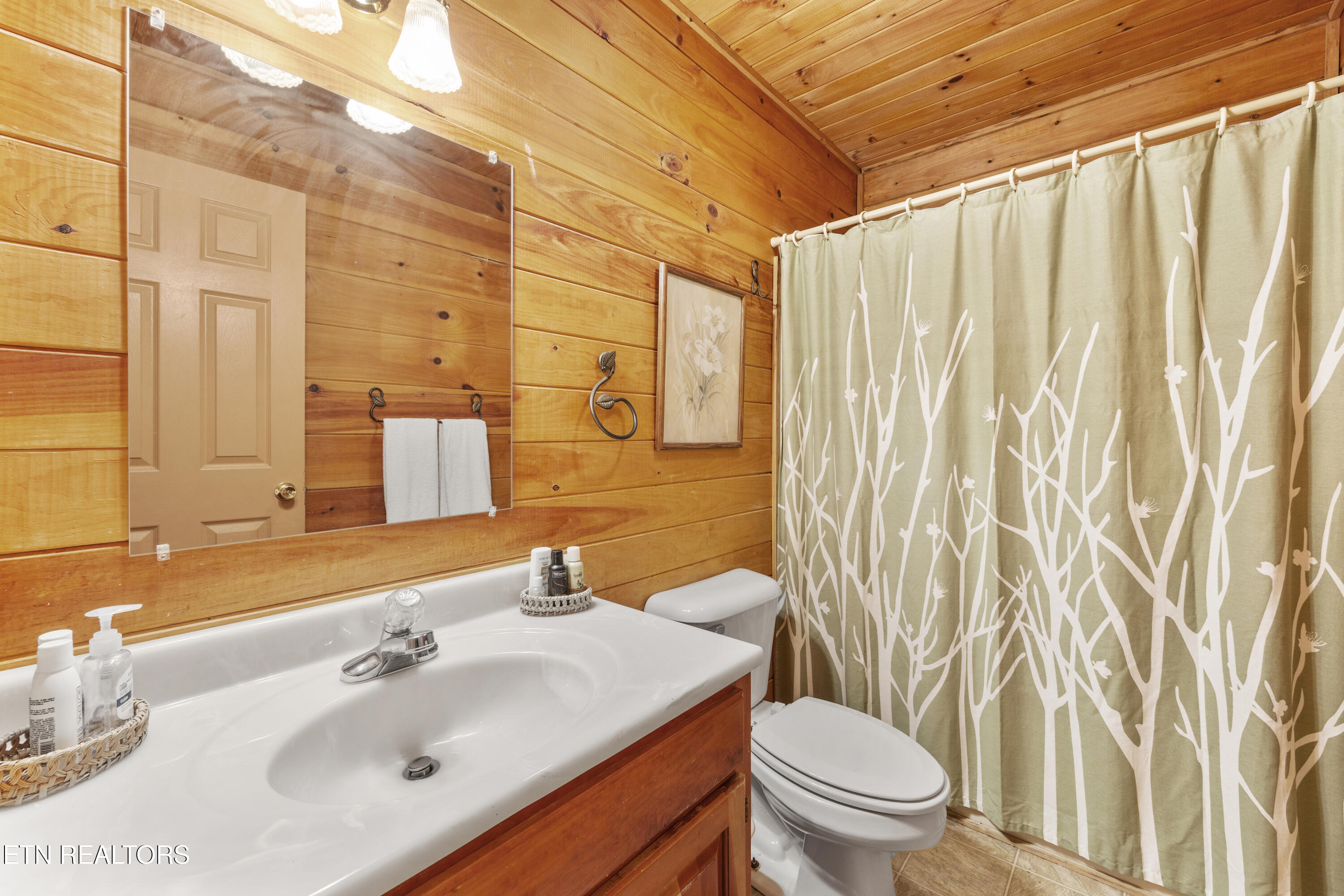 3850 Millers Ridge Way Sevierville TN 37862