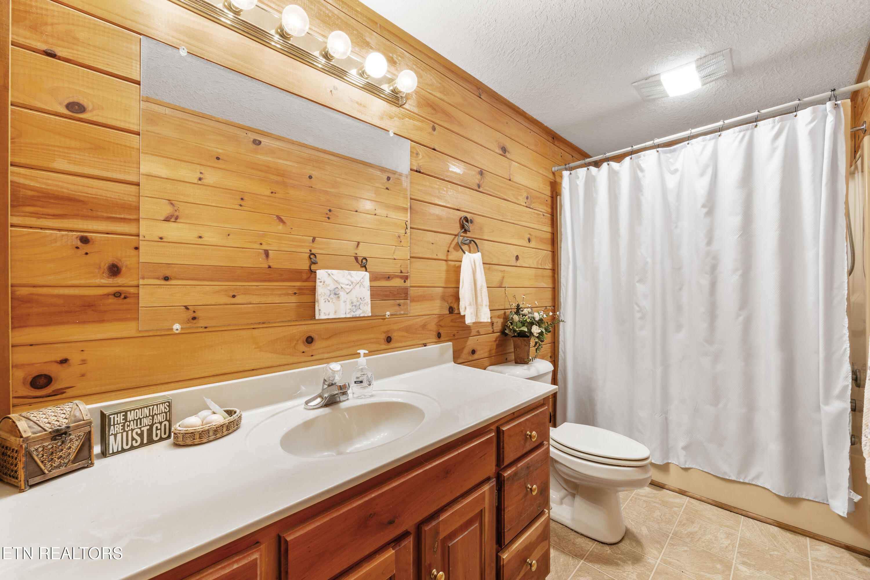 3850 Millers Ridge Way Sevierville TN 37862