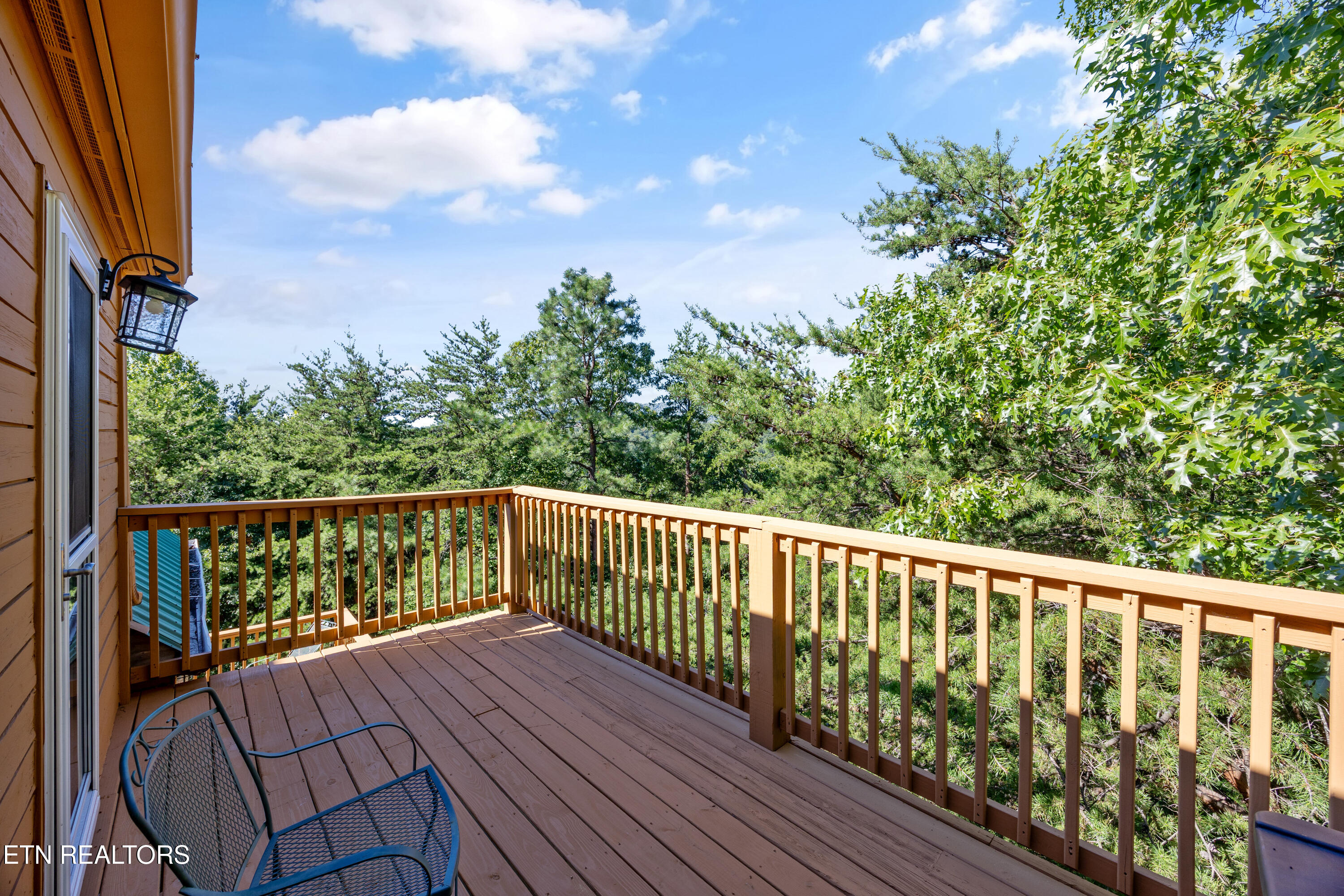 3850 Millers Ridge Way Sevierville TN 37862