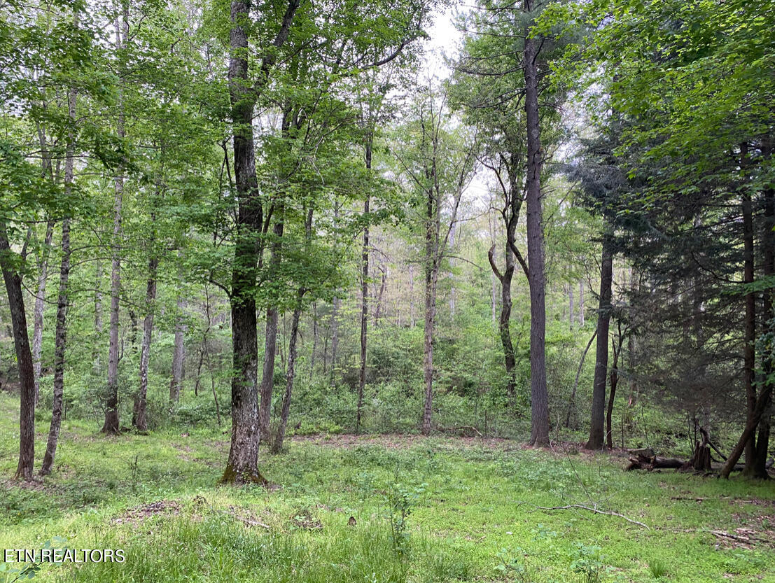 1234 Ernest Norris Road Jamestown TN 38556
