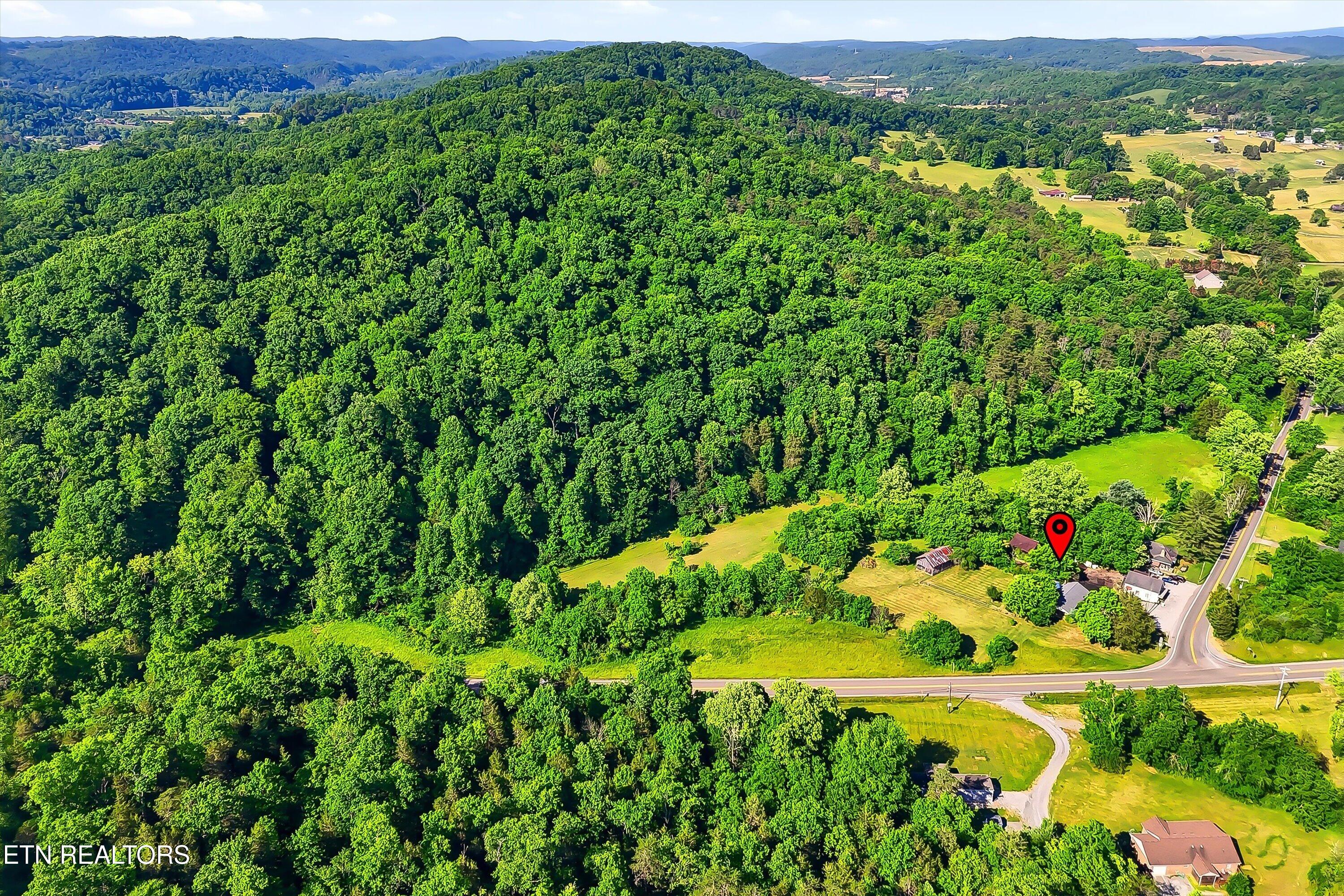 9613 Norris Freeway Powell TN 37849