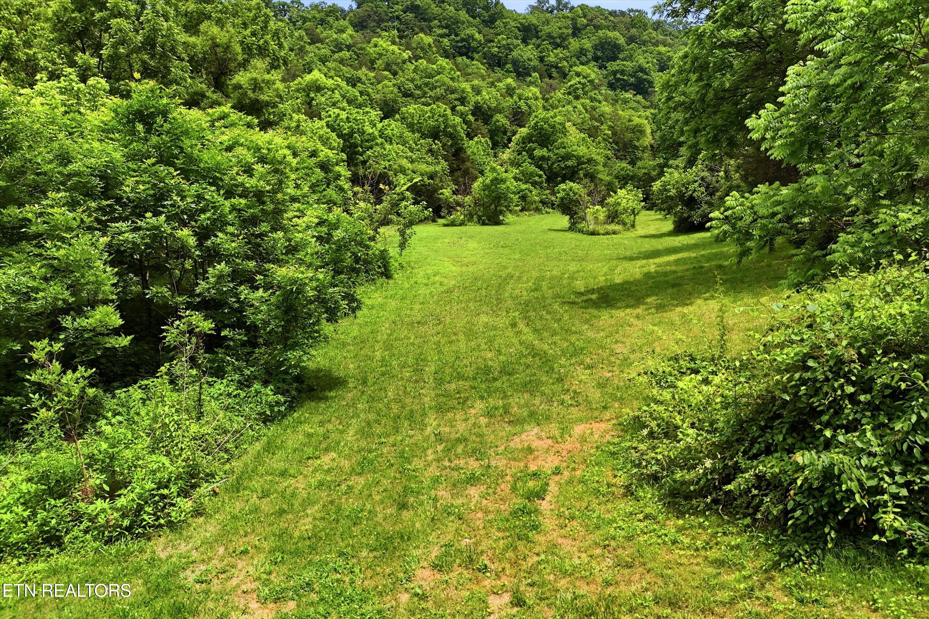 9613 Norris Freeway Powell TN 37849