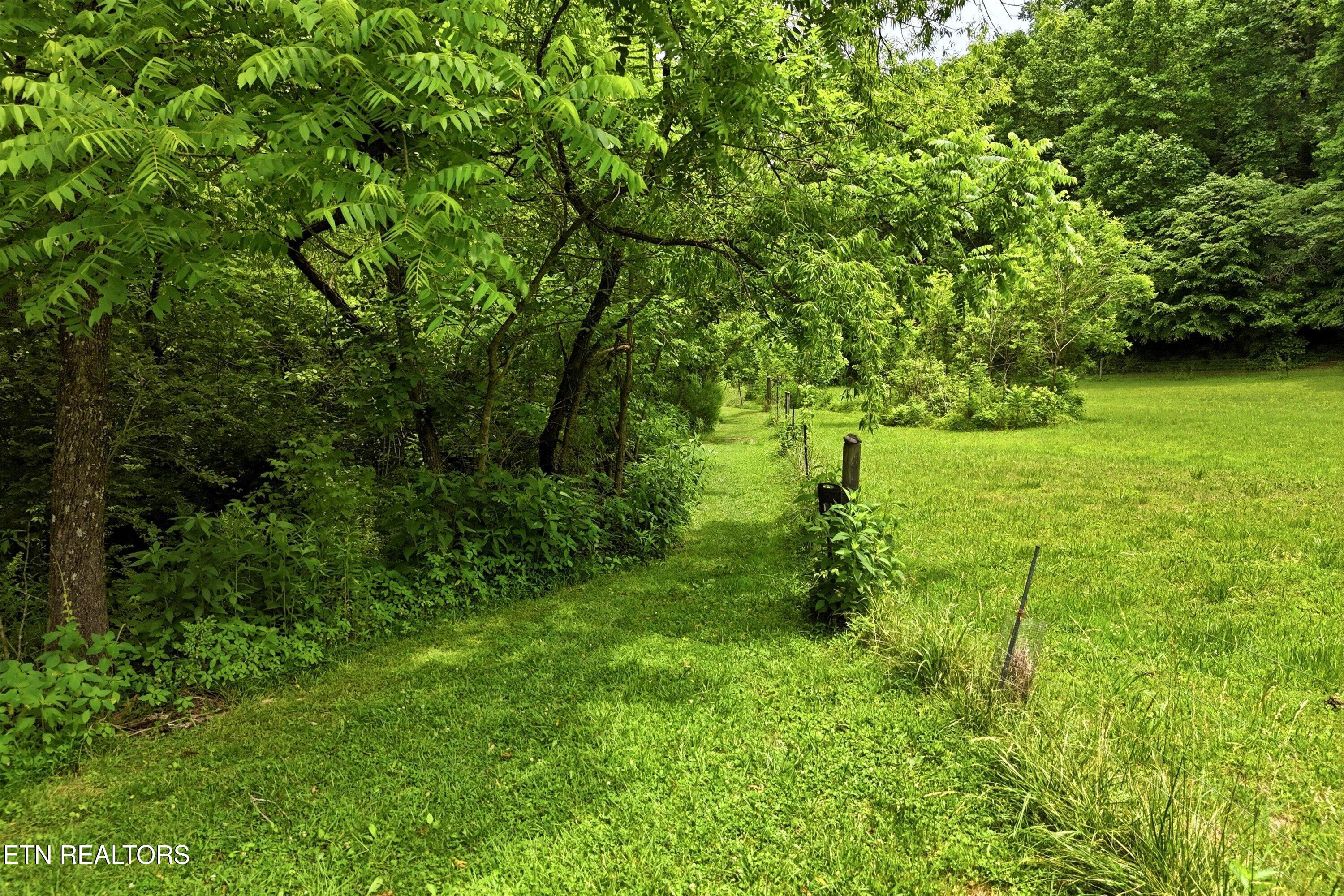 9613 Norris Freeway Powell TN 37849