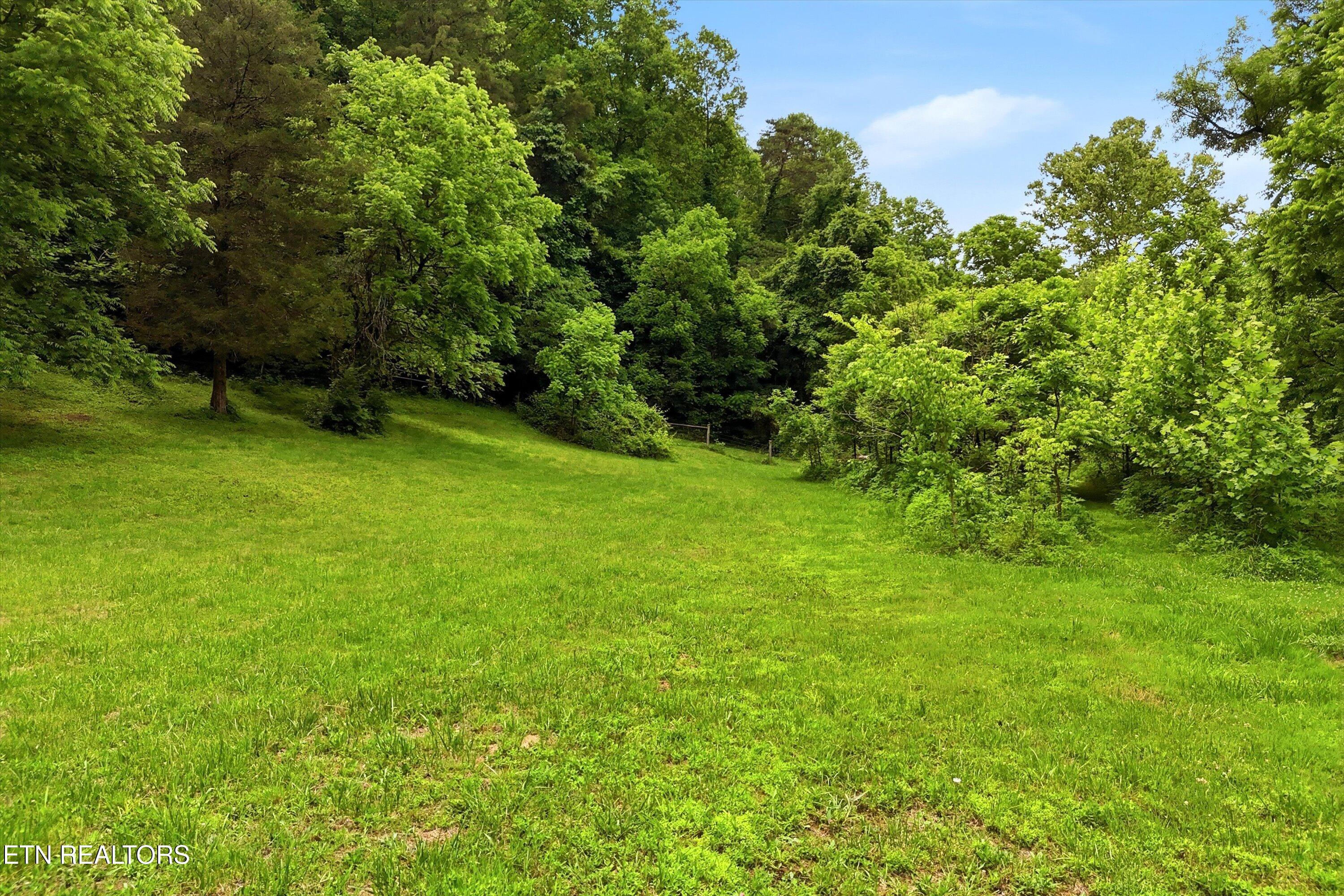 9613 Norris Freeway Powell TN 37849