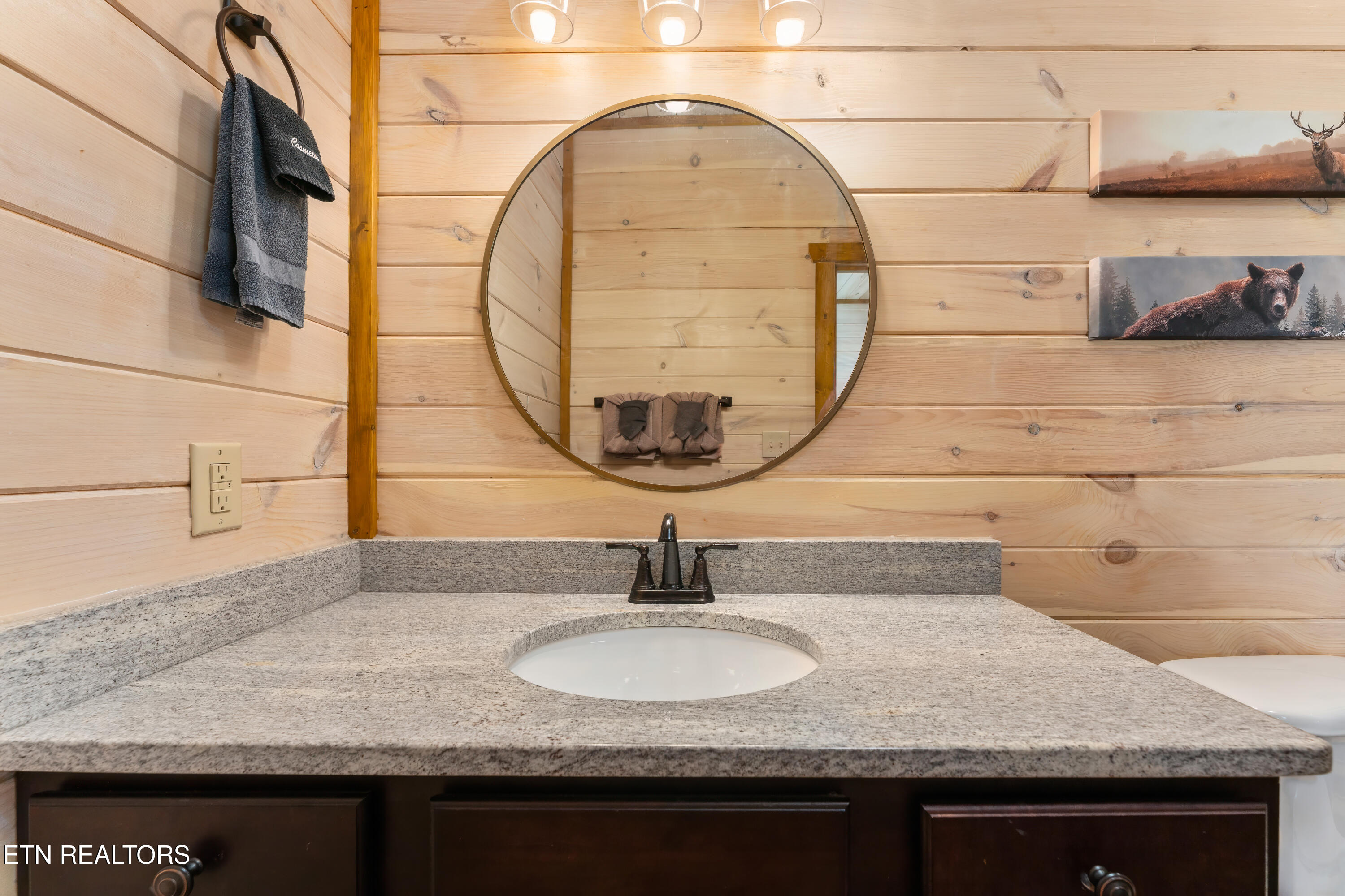 911 Osprey Way Pigeon Forge TN 37863