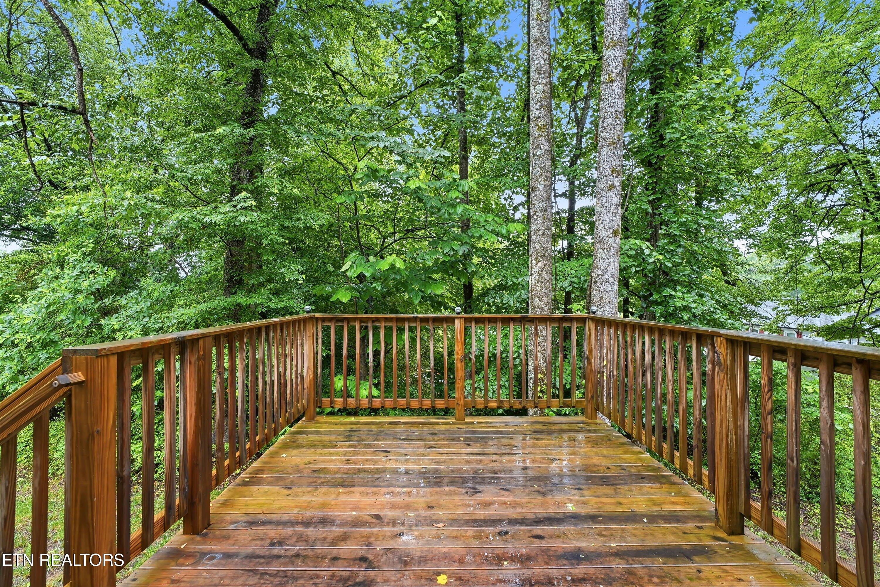 144 Zeni Lane Harriman TN 37748