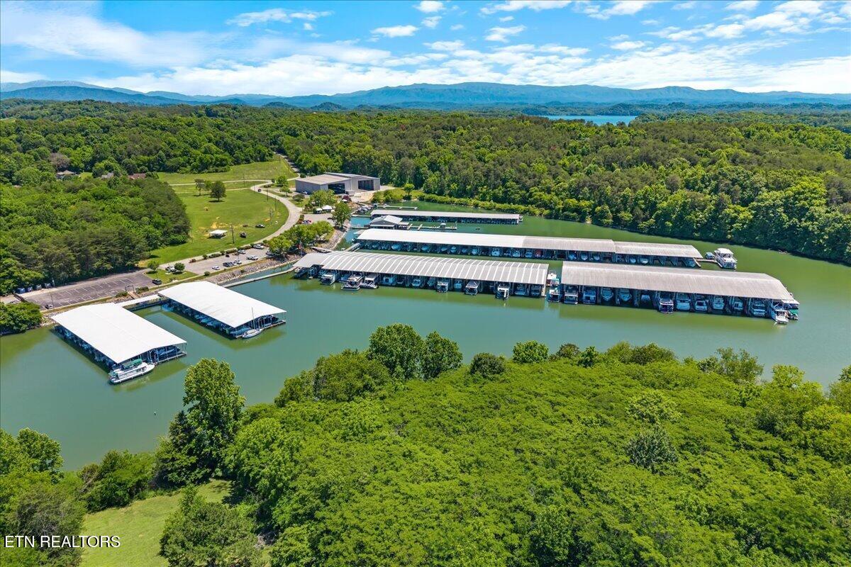 2017 Cherokee Drive Maryville TN 37801