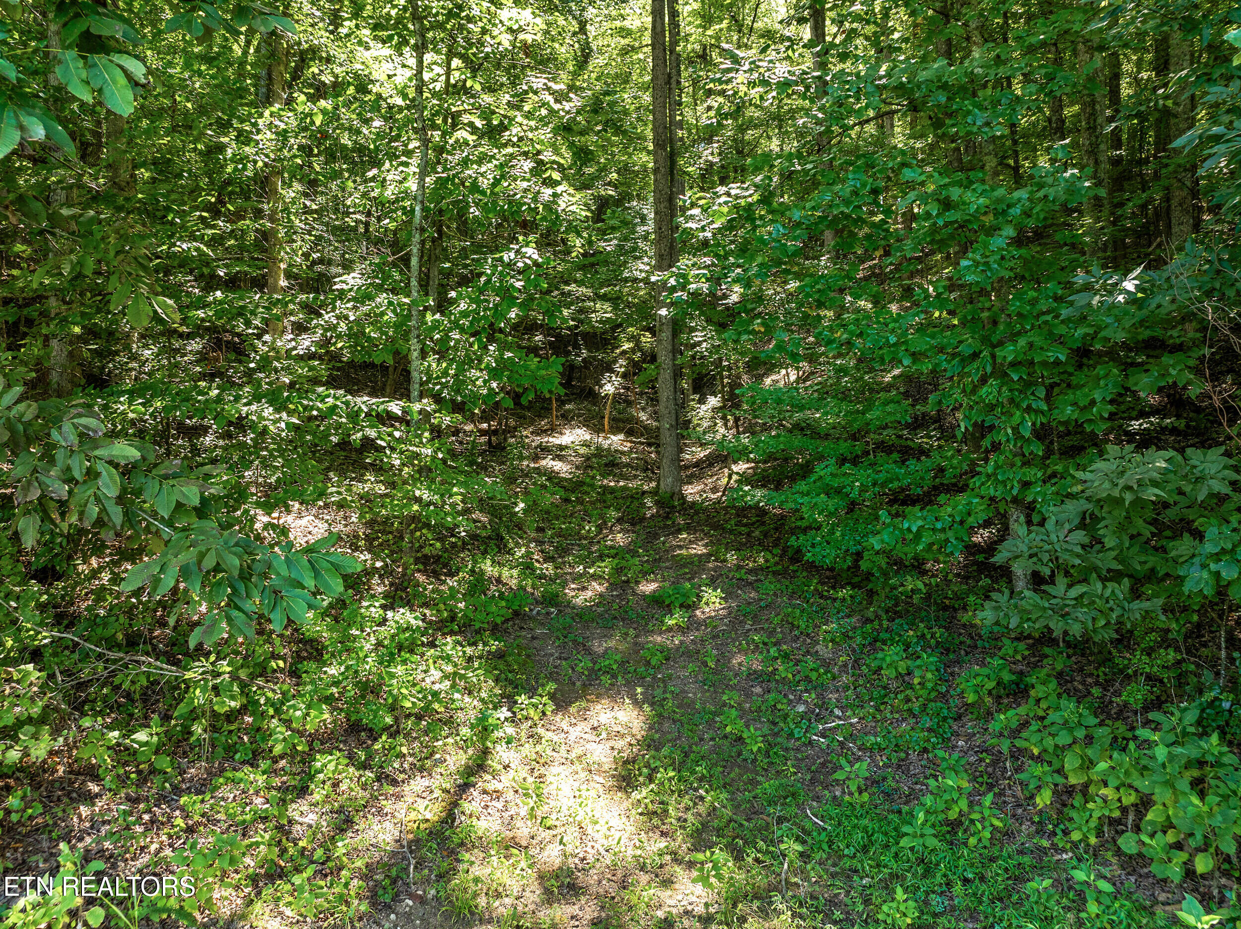 110 Halcomb Drive Kingston TN 37763