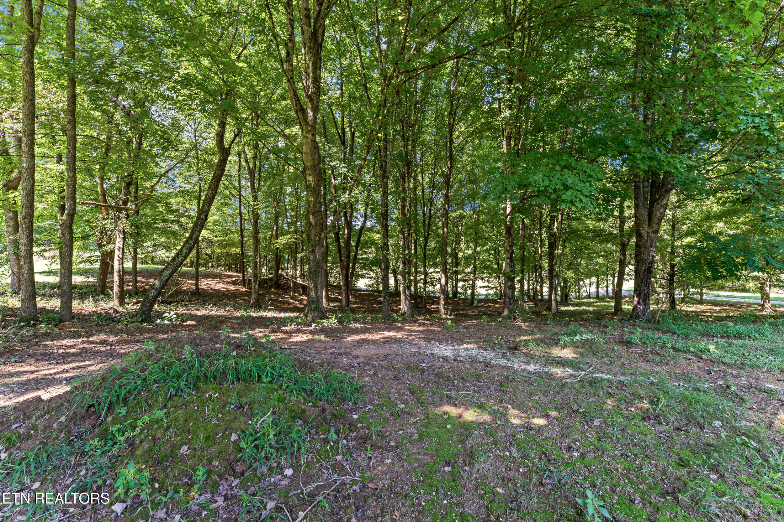 110 Halcomb Drive Kingston TN 37763