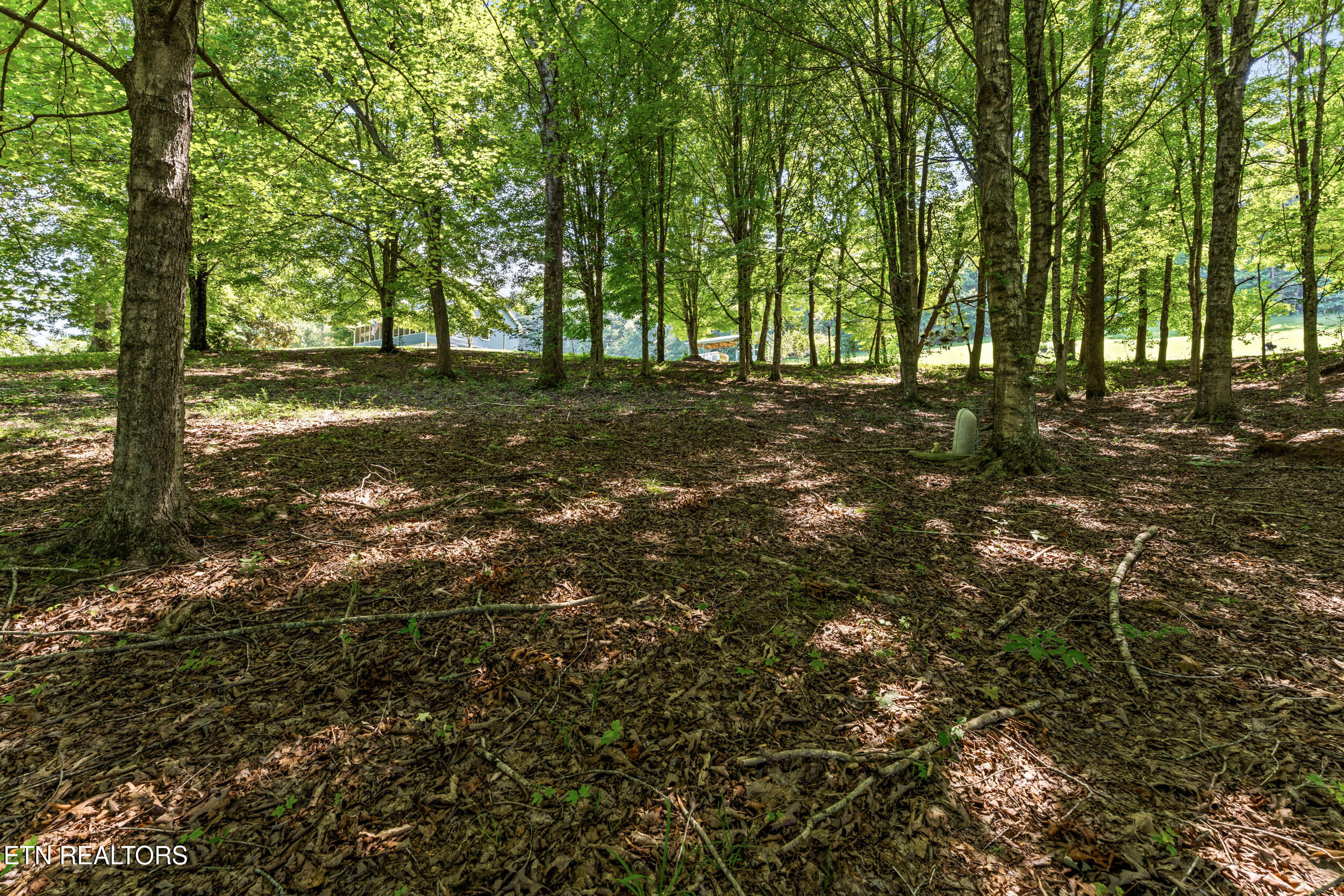 110 Halcomb Drive Kingston TN 37763
