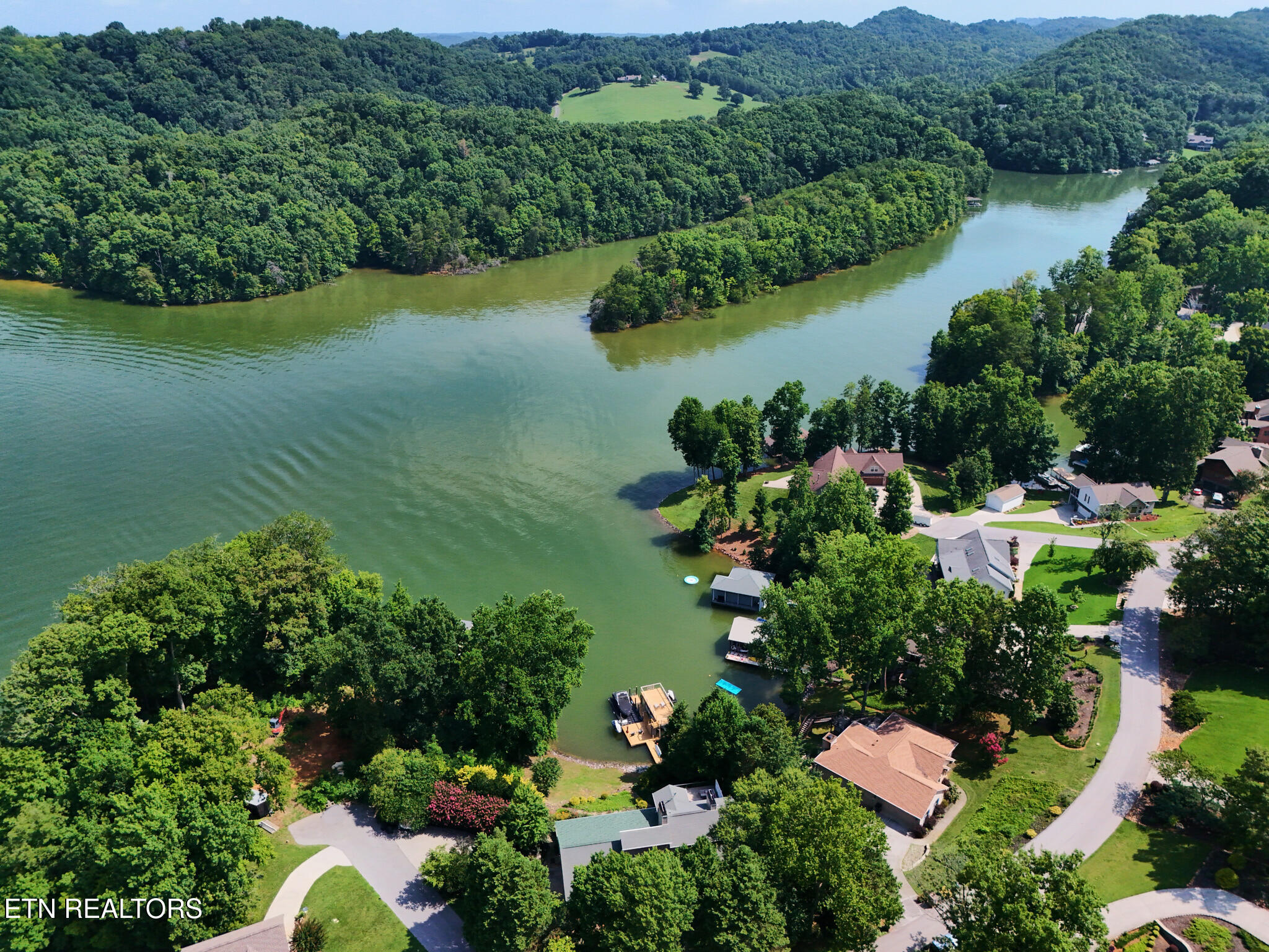 226 W Cove Drive Greenback TN 37742