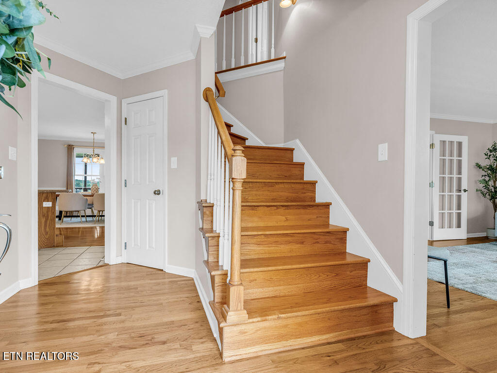 1398 Hirst Circle Lenoir City TN 37772