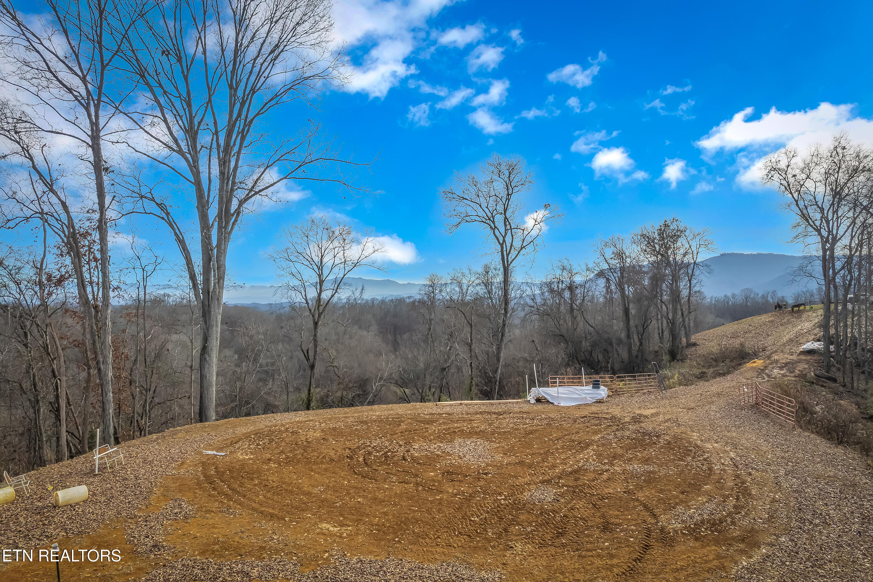 1739 Long Branch Road Seymour TN 37865