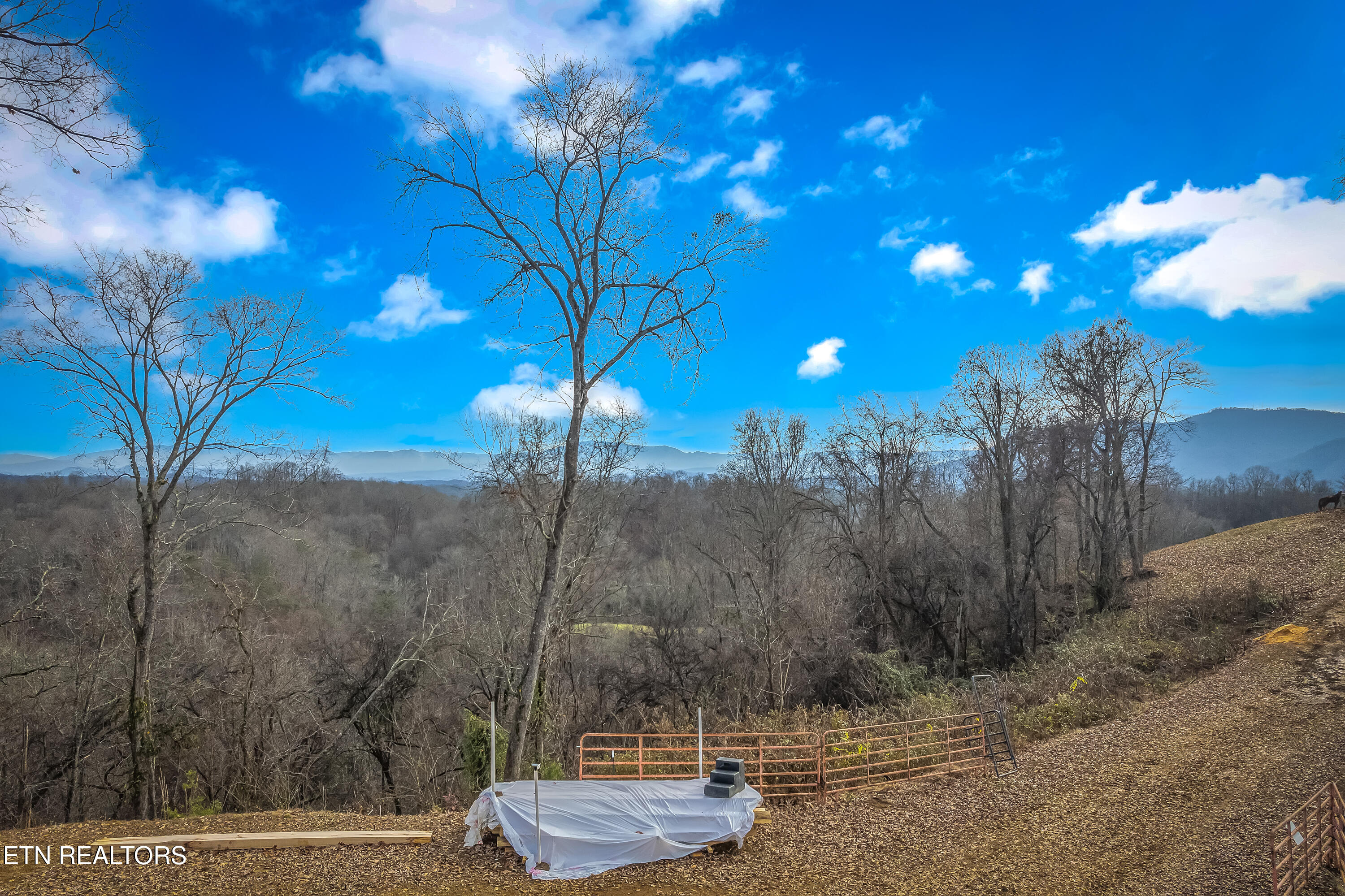 1739 Long Branch Road Seymour TN 37865