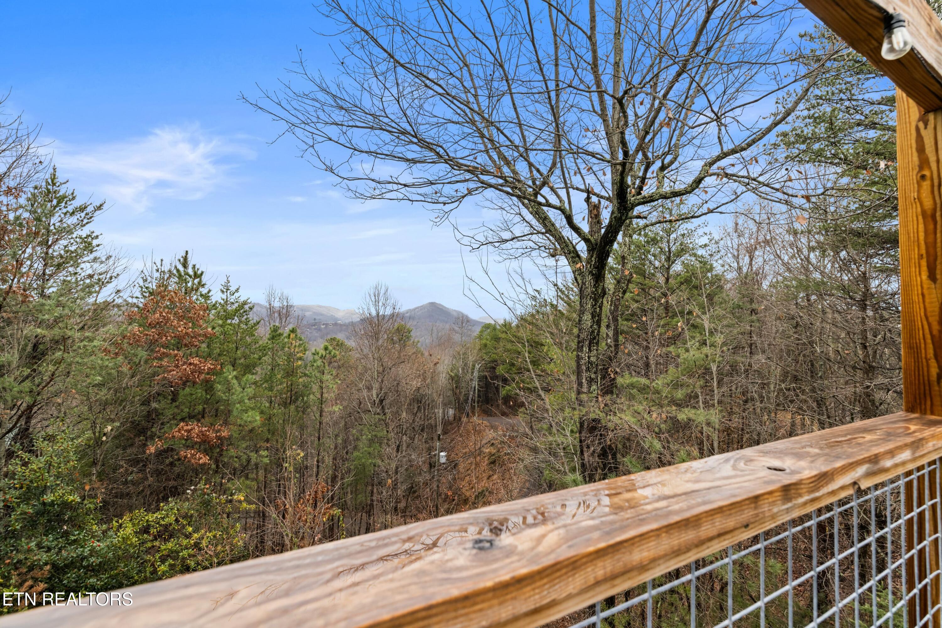 550 Sassafras Trail Pigeon Forge TN 37876