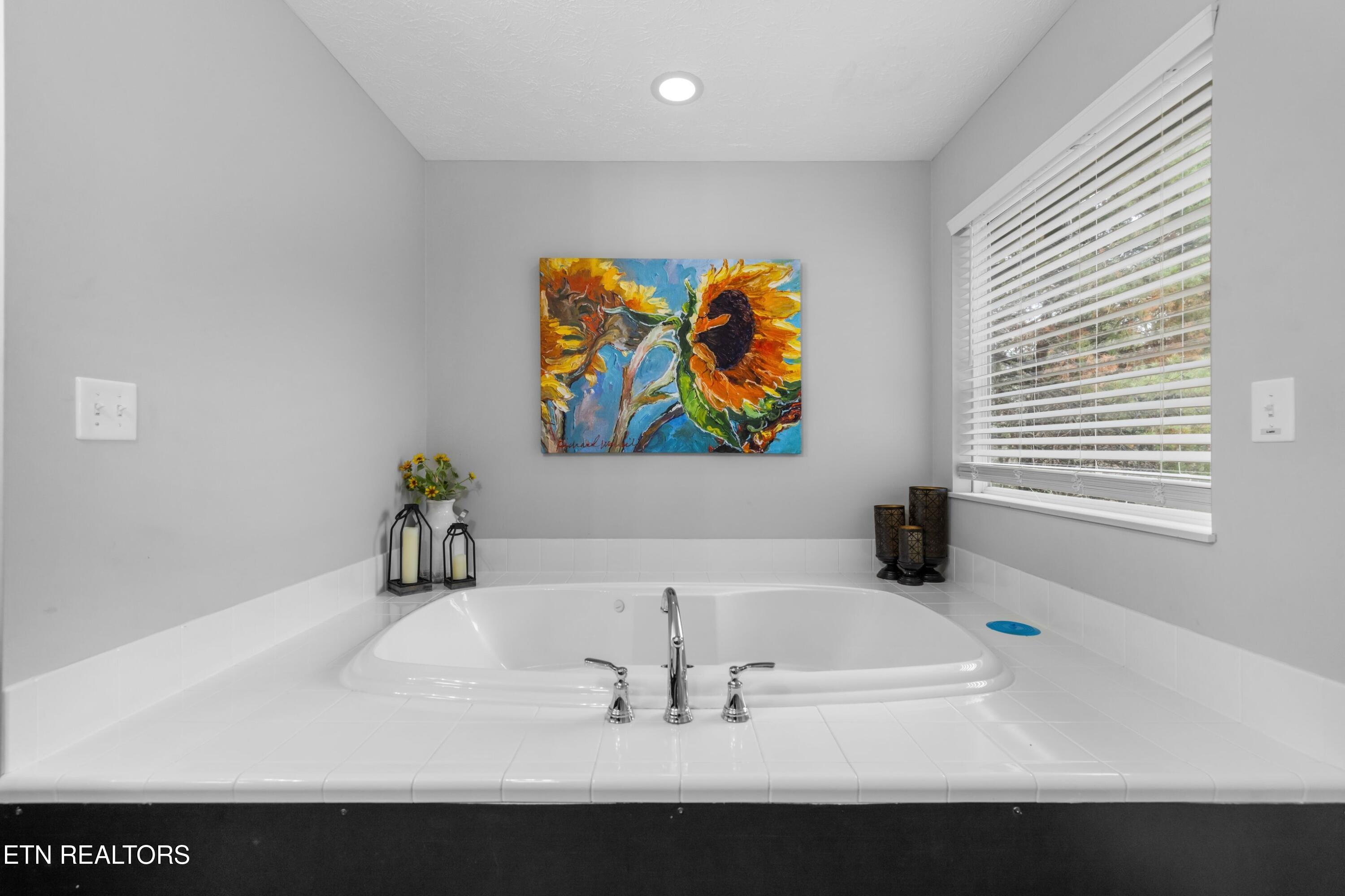 550 Sassafras Trail Pigeon Forge TN 37876