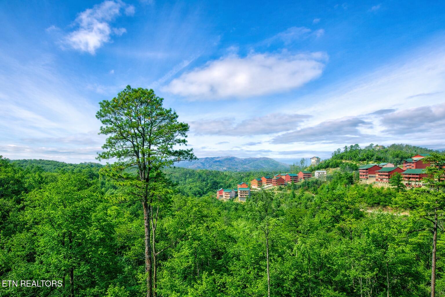 3704 Tilda Hilltop Way Sevierville TN 37862