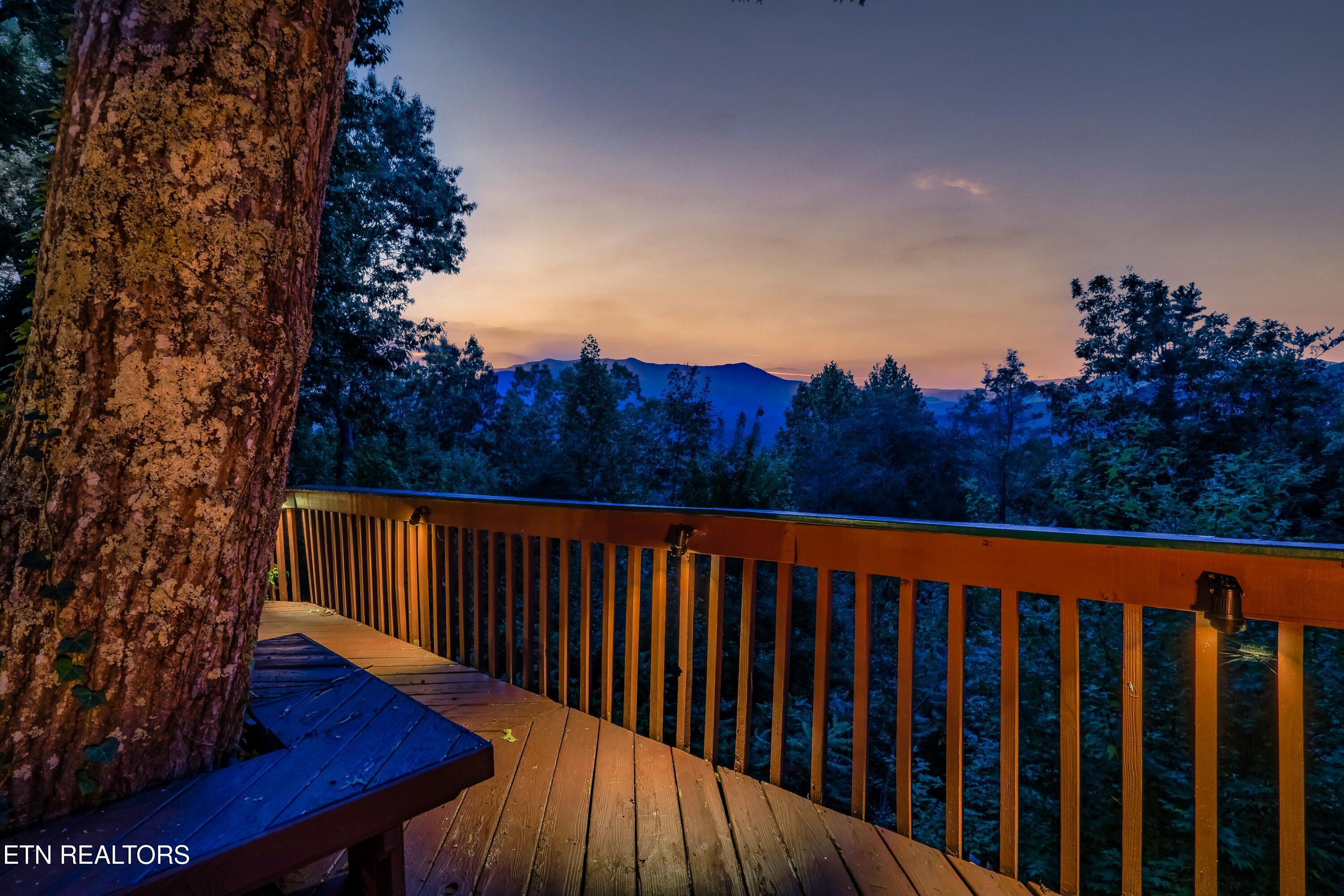 1008 E Foothills Drive Gatlinburg TN 37738