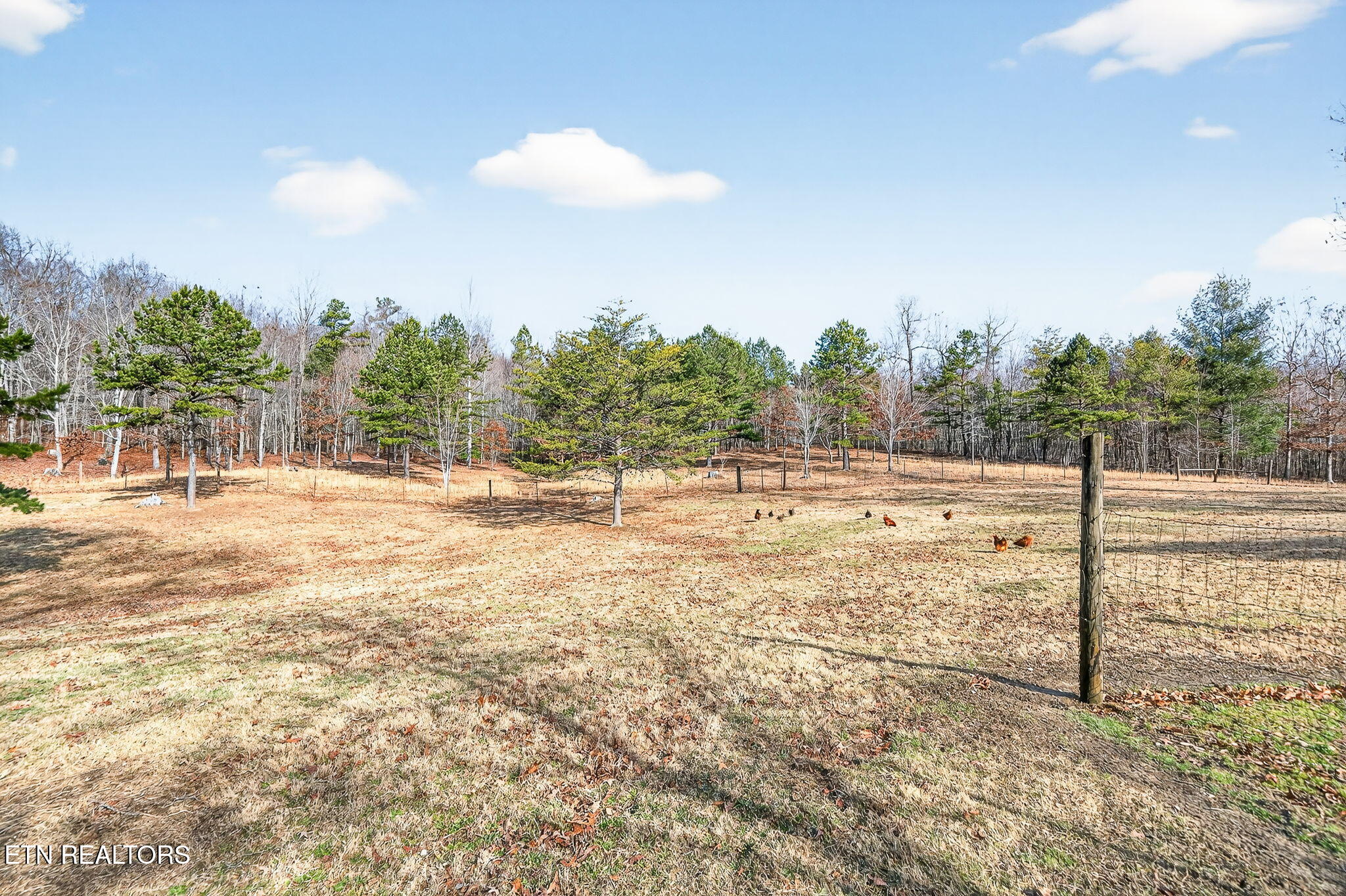 446 Arnolds Way Crossville TN 38571