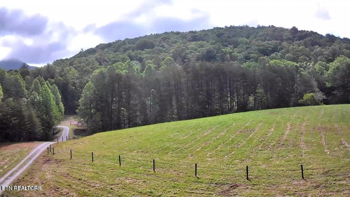 188 Dalton Branch Road Tellico Plains TN 37385