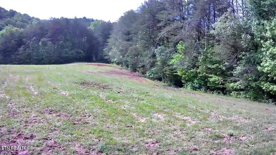 188 Dalton Branch Road Tellico Plains TN 37385