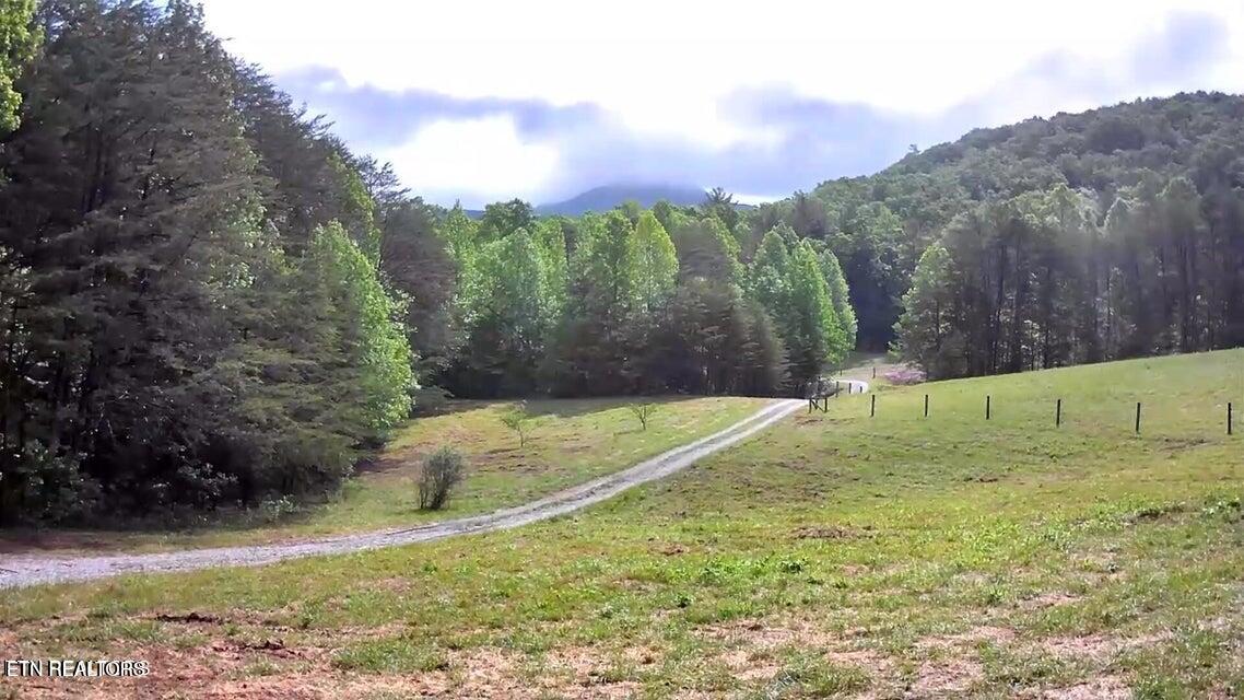 188 Dalton Branch Road Tellico Plains TN 37385
