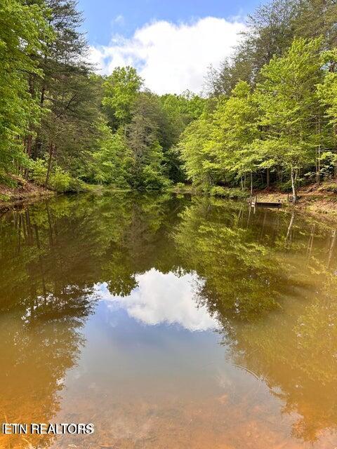 188 Dalton Branch Road Tellico Plains TN 37385