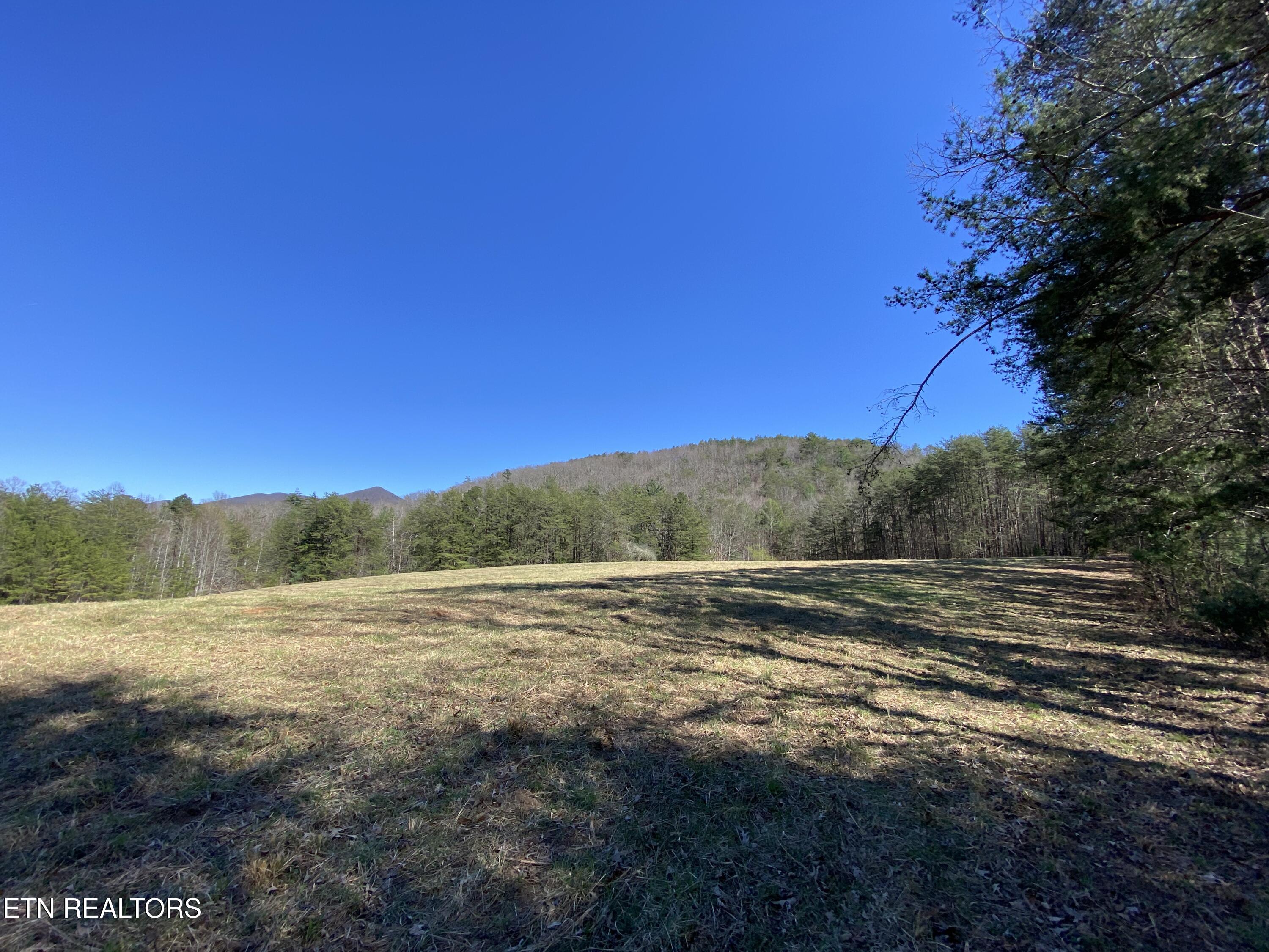 188 Dalton Branch Road Tellico Plains TN 37385