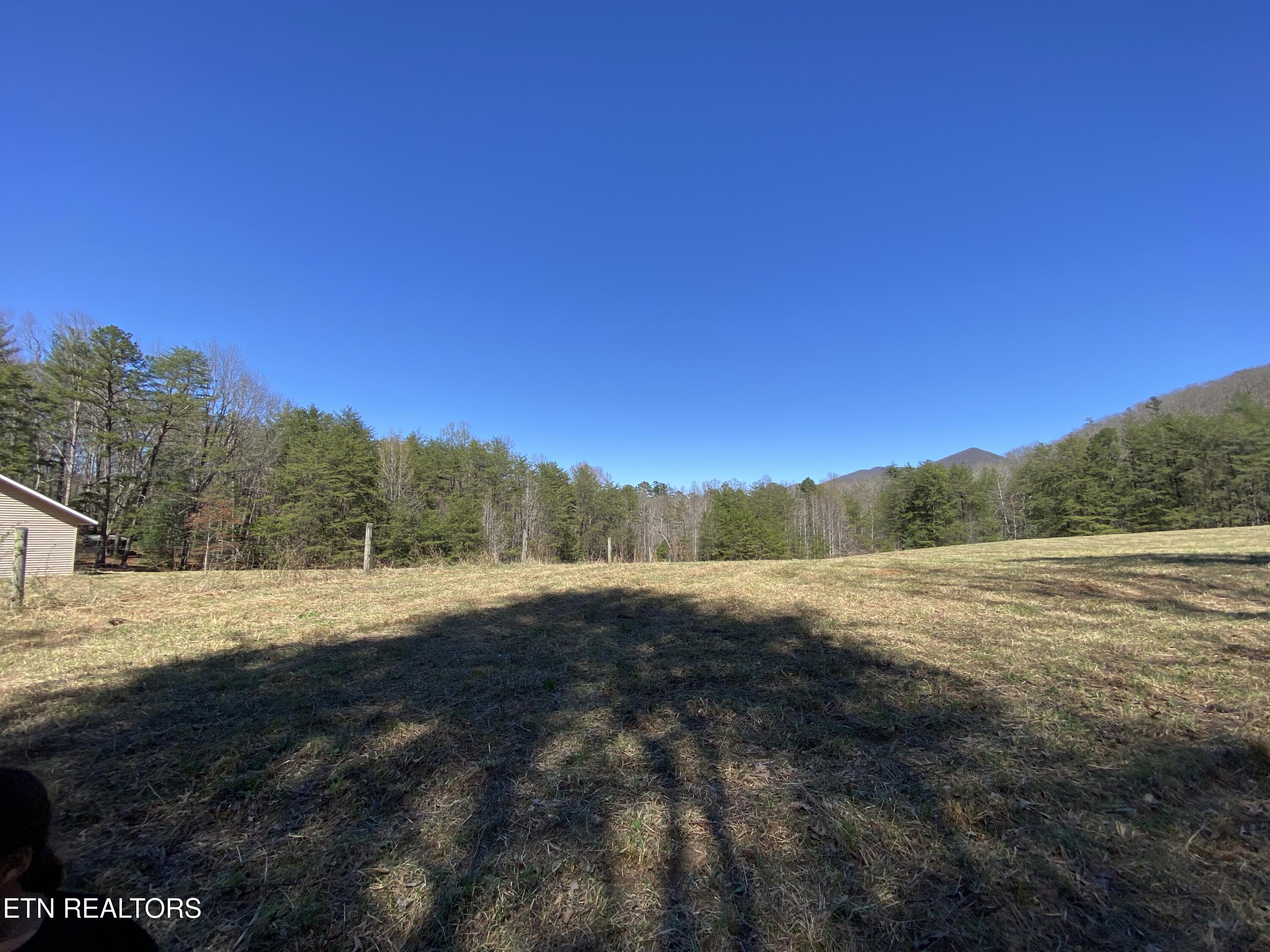188 Dalton Branch Road Tellico Plains TN 37385