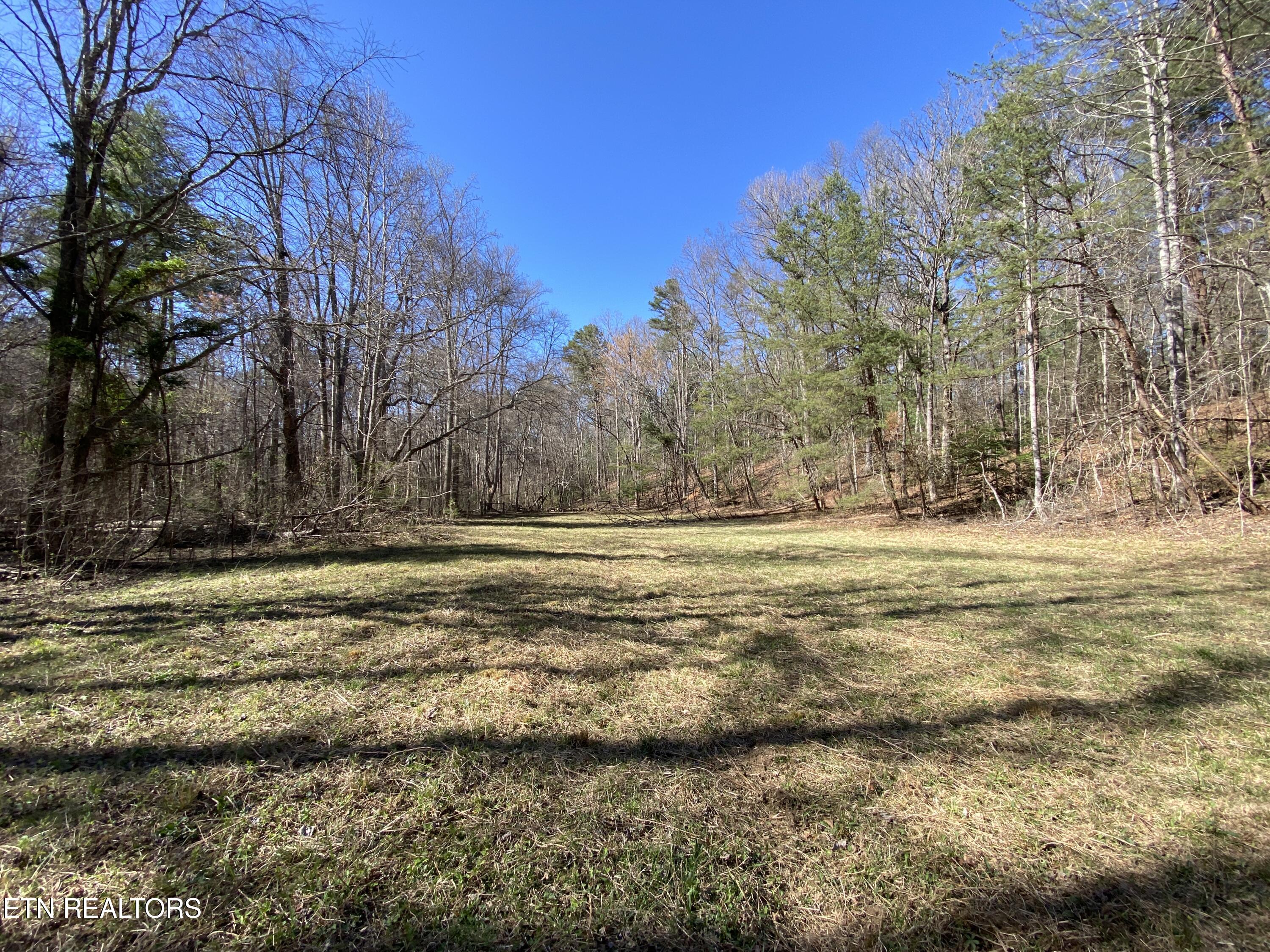 188 Dalton Branch Road Tellico Plains TN 37385