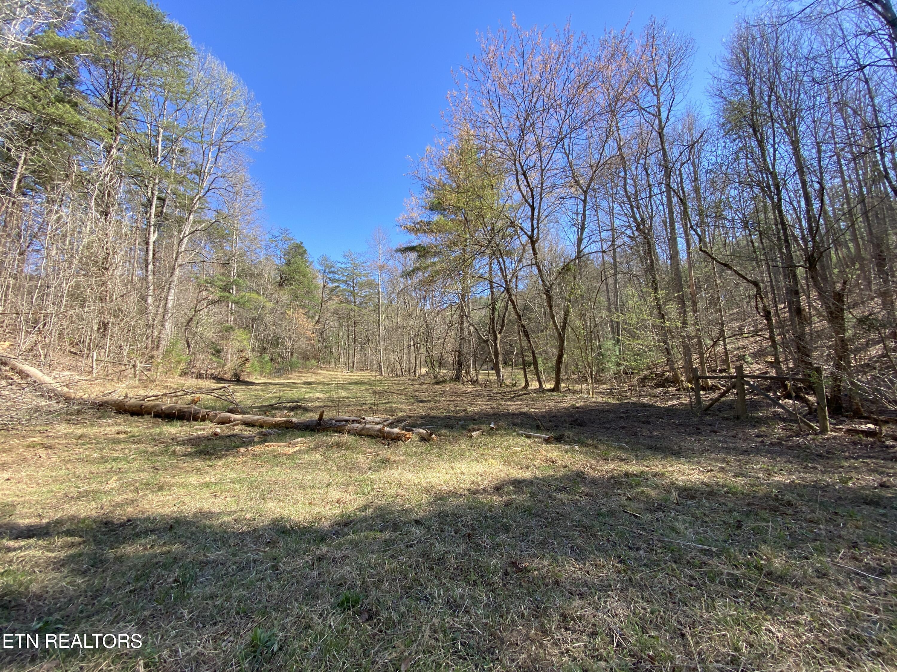 188 Dalton Branch Road Tellico Plains TN 37385