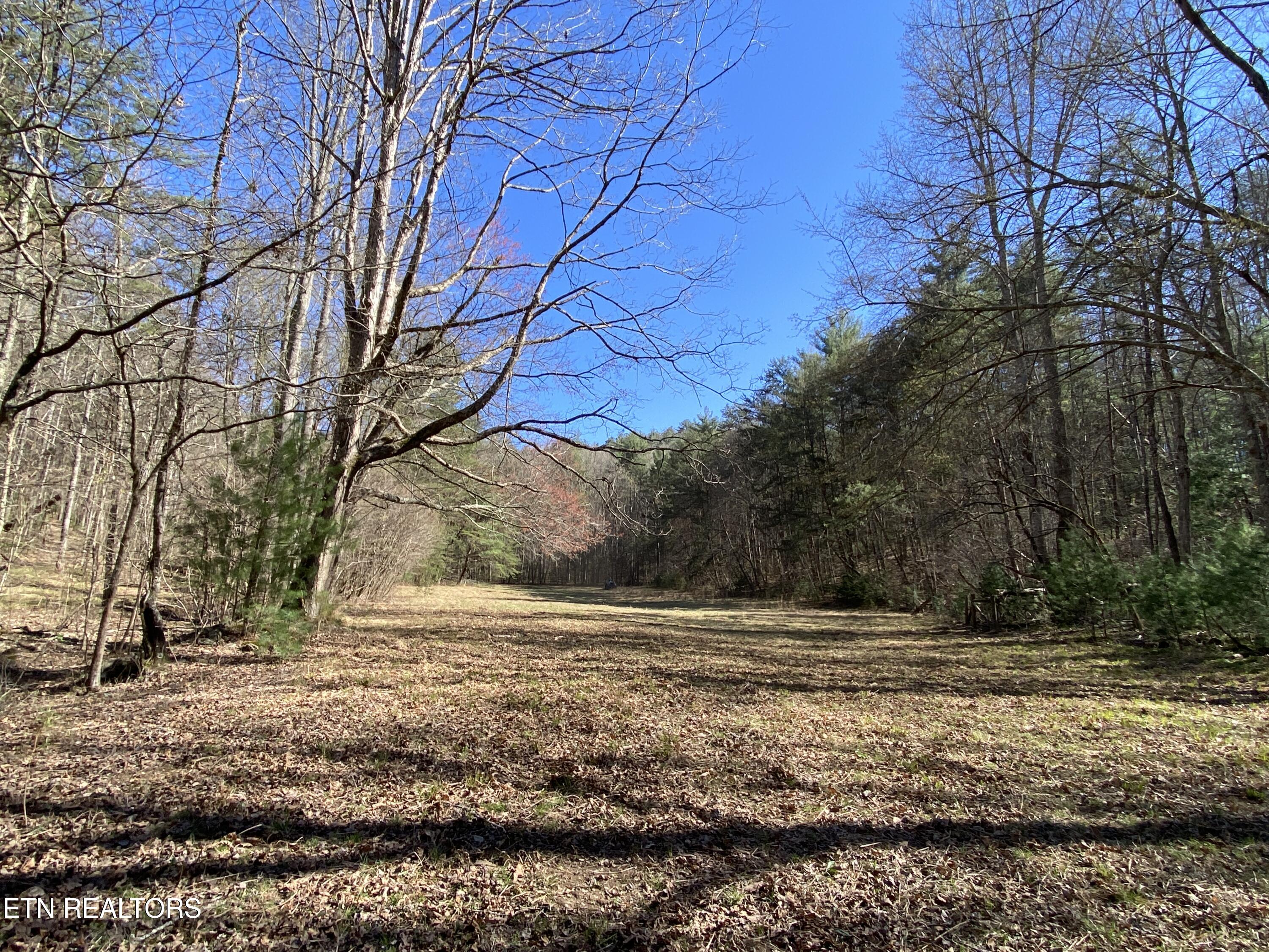 188 Dalton Branch Road Tellico Plains TN 37385