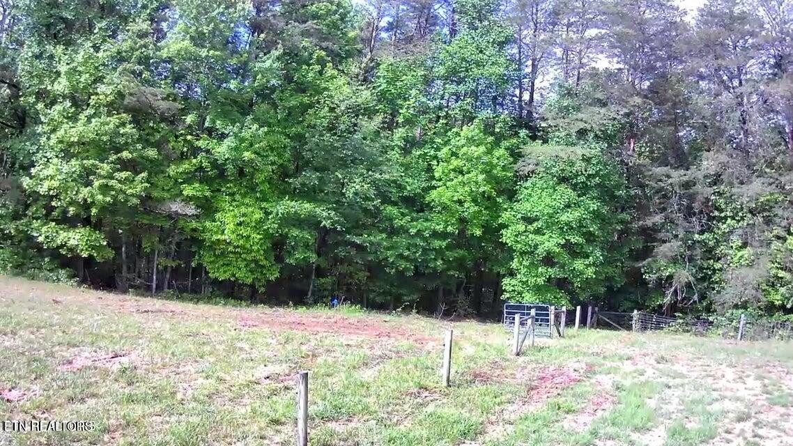 188 Dalton Branch Road Tellico Plains TN 37385