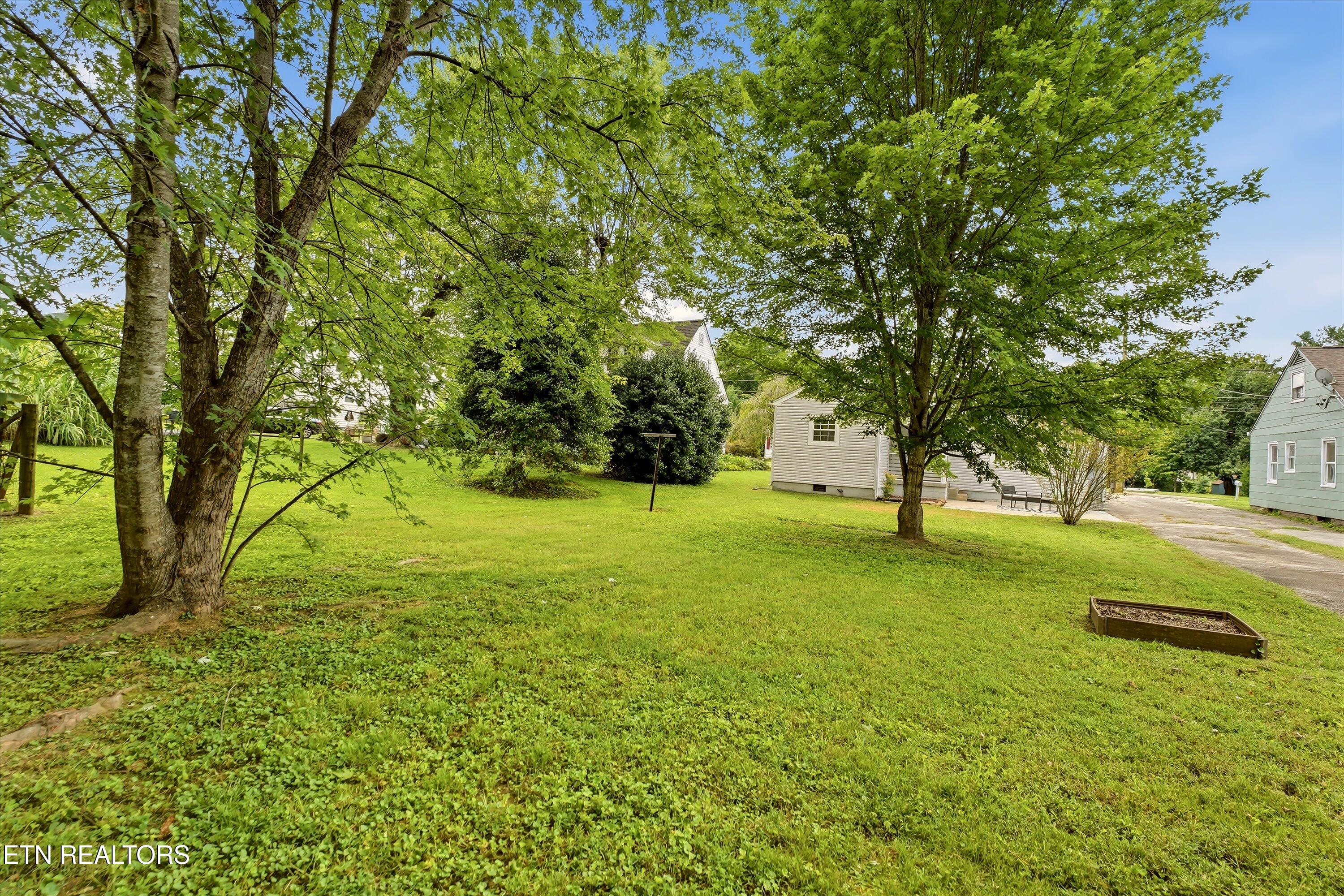 2911 Avondale Avenue Knoxville TN 37917