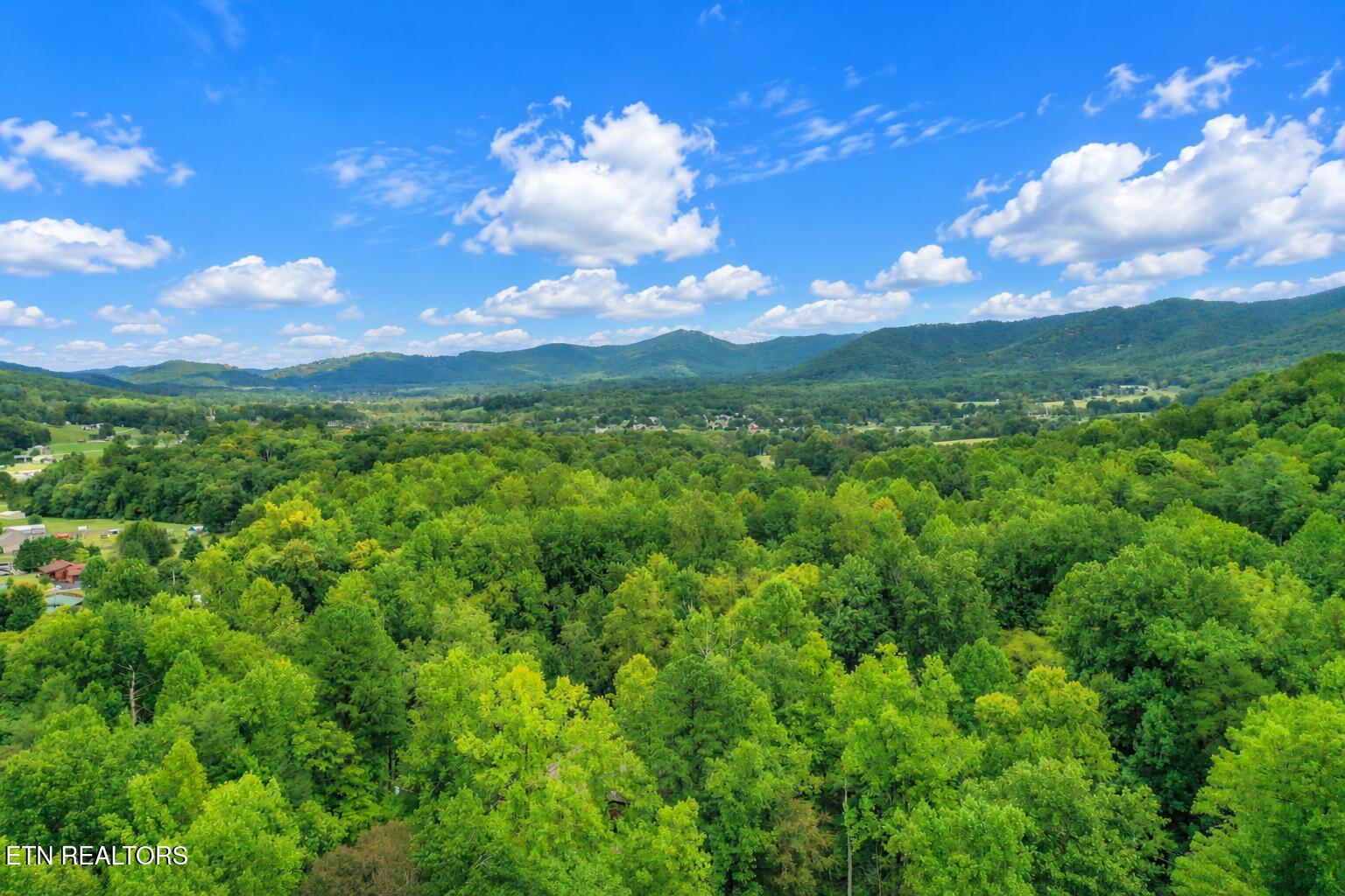 3711 Ginseng Way Sevierville TN 37862