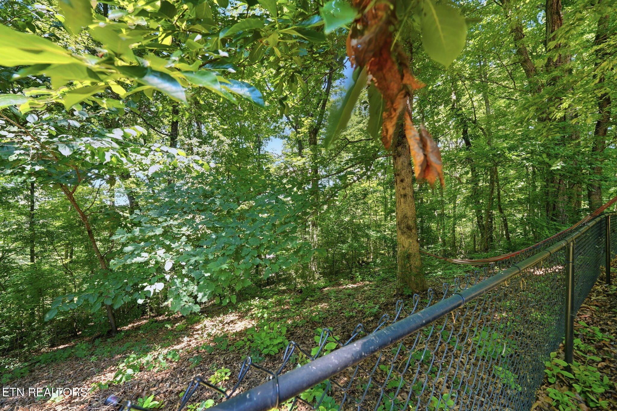 3423 Hackworth Road Knoxville TN 37931