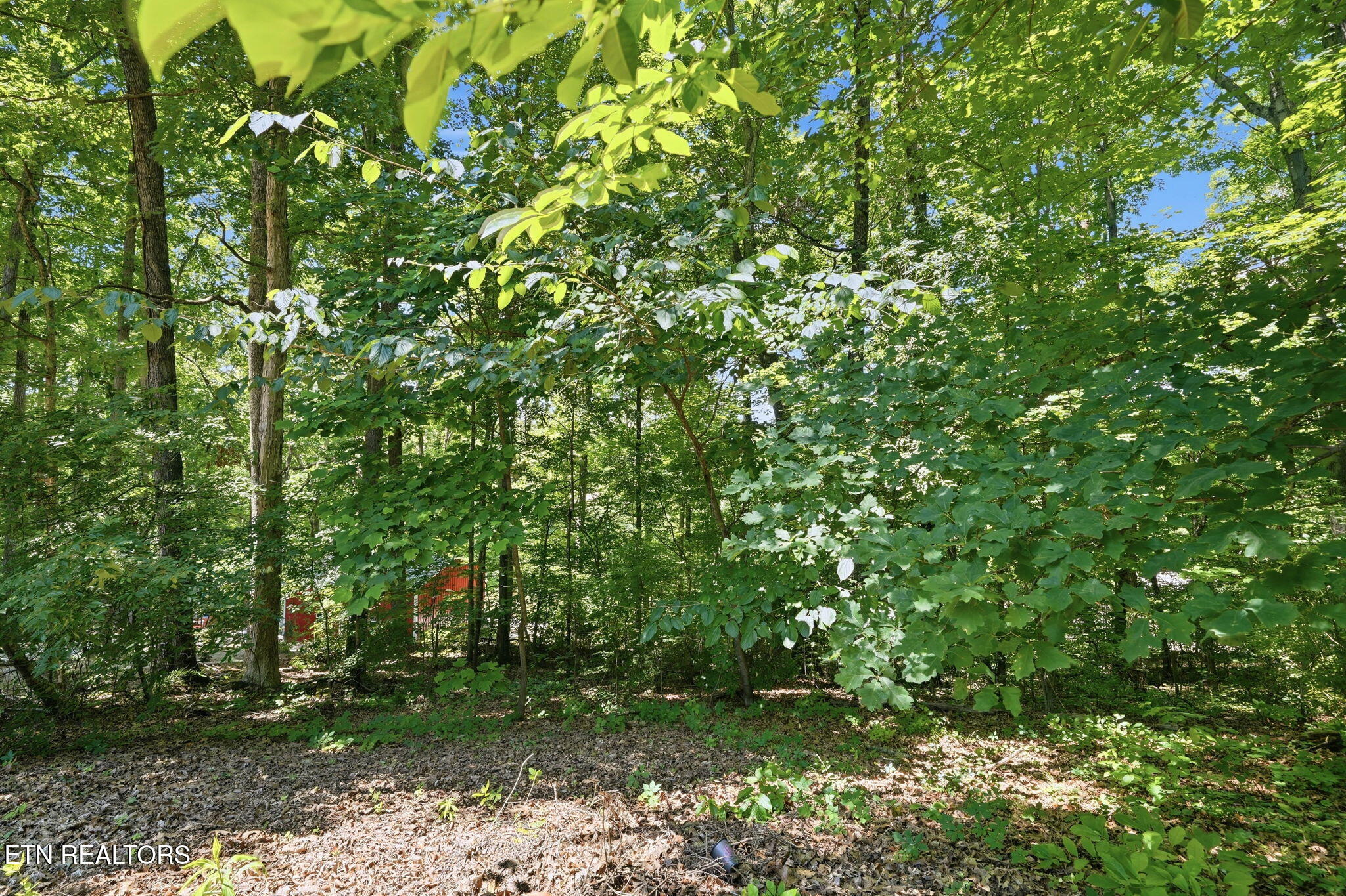 3423 Hackworth Road Knoxville TN 37931