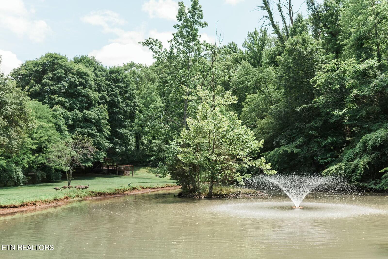 733 Mccubbins Road Knoxville TN 37924