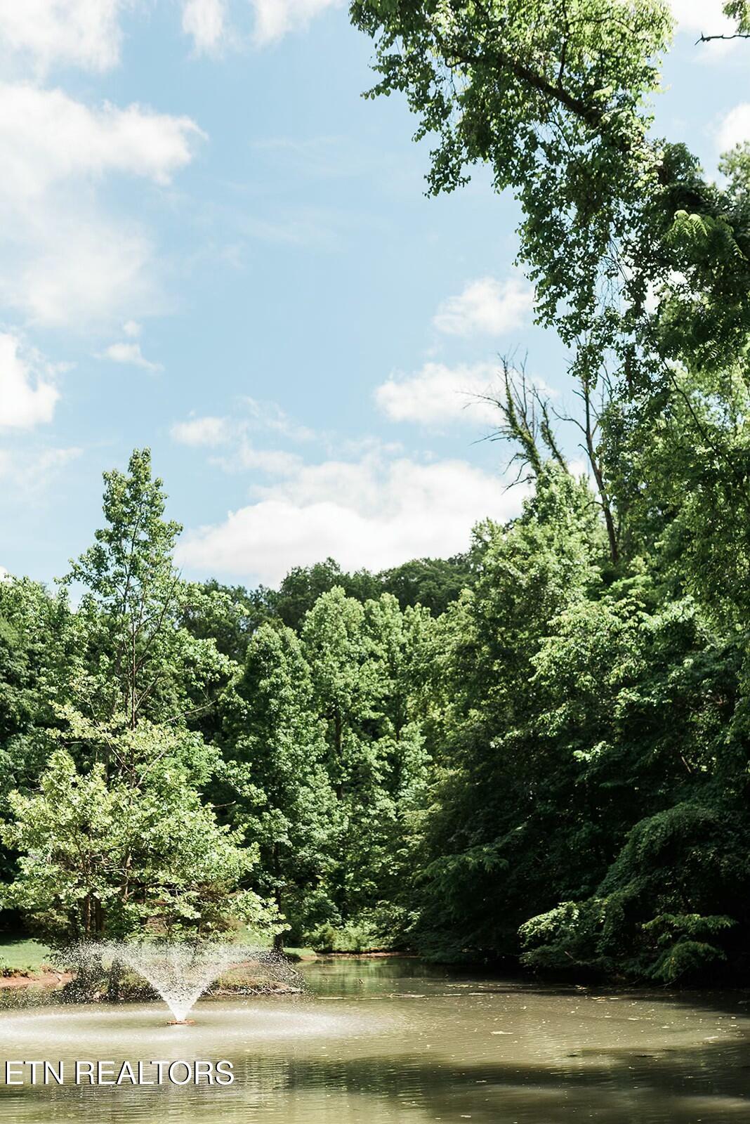 733 Mccubbins Road Knoxville TN 37924