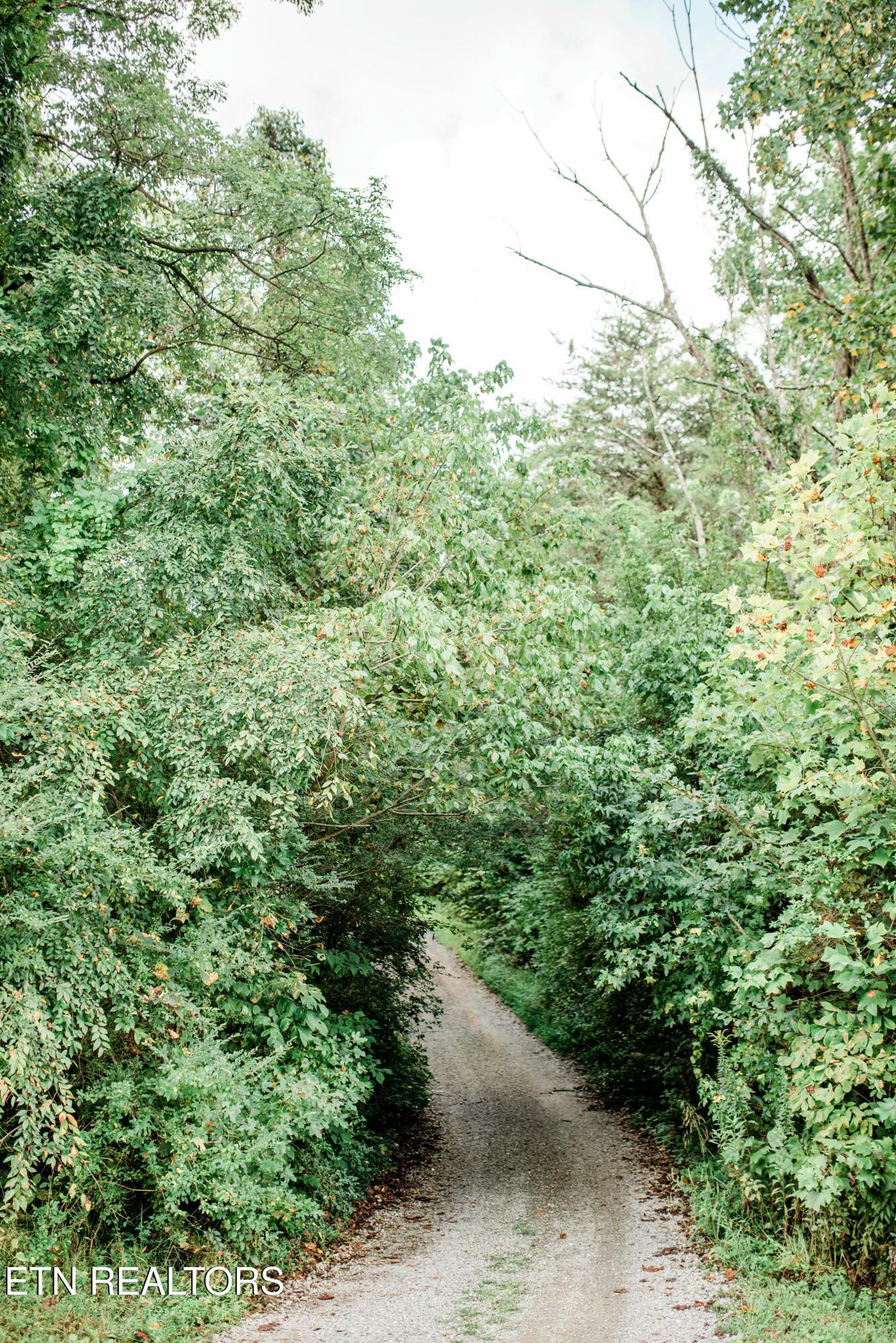 733 Mccubbins Road Knoxville TN 37924