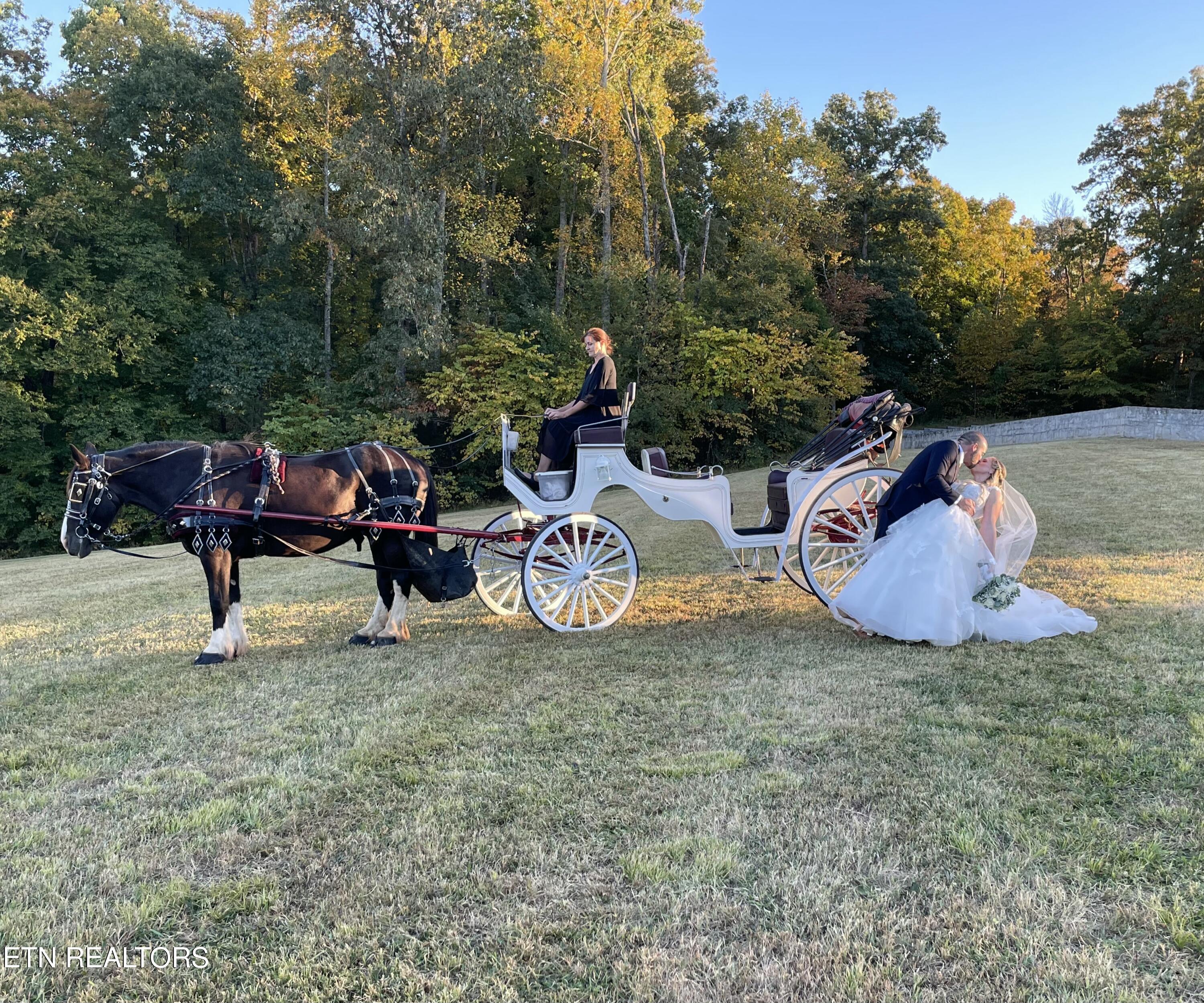 733 Mccubbins Road Knoxville TN 37924