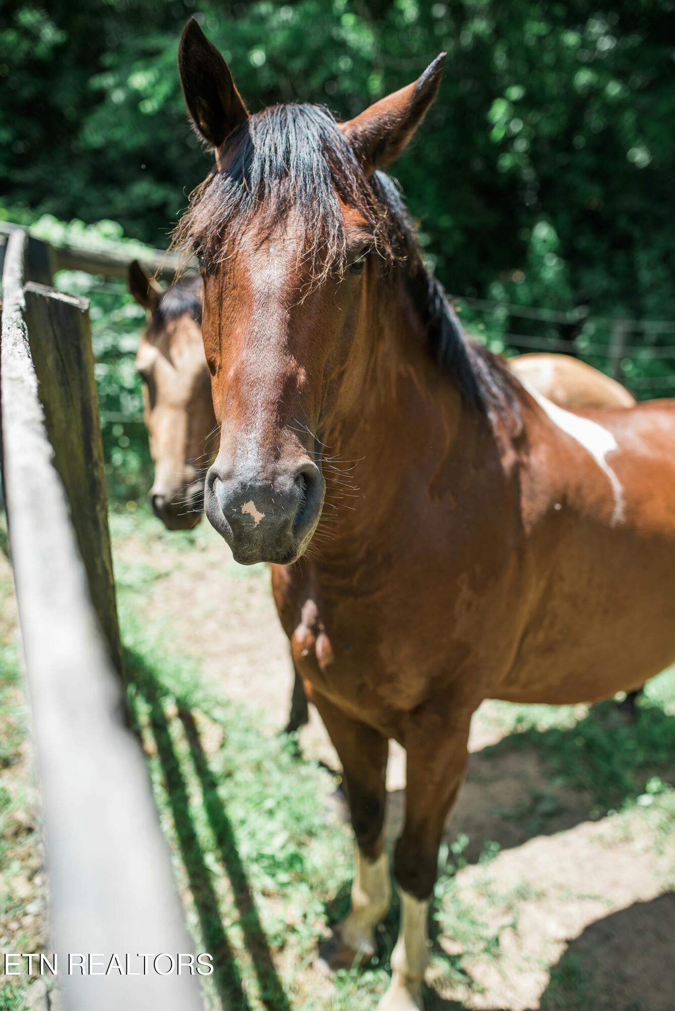 733 Mccubbins Road Knoxville TN 37924