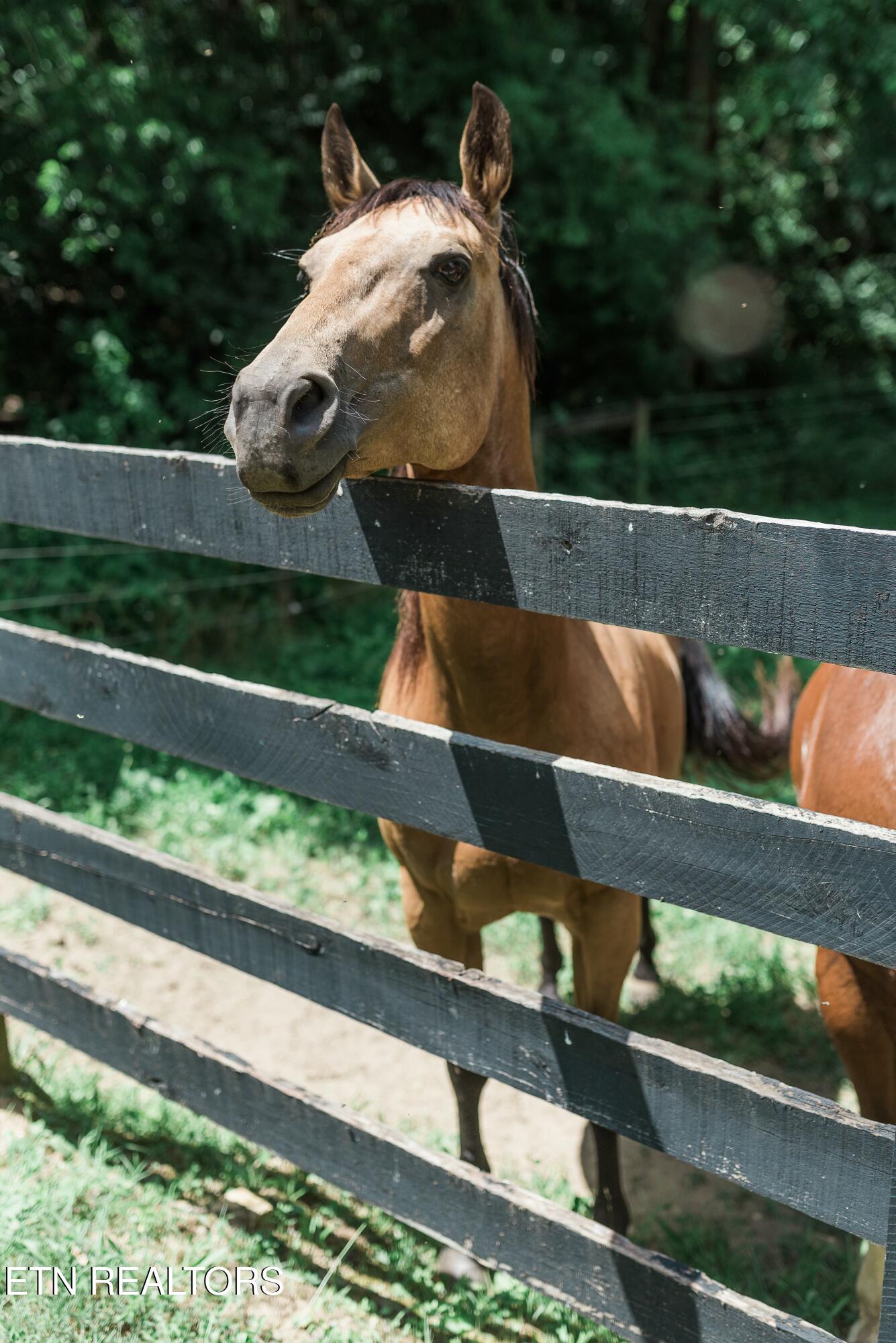 733 Mccubbins Road Knoxville TN 37924