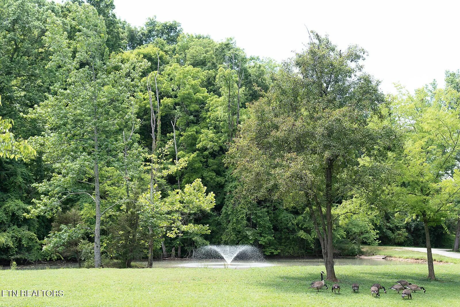 733 Mccubbins Road Knoxville TN 37924