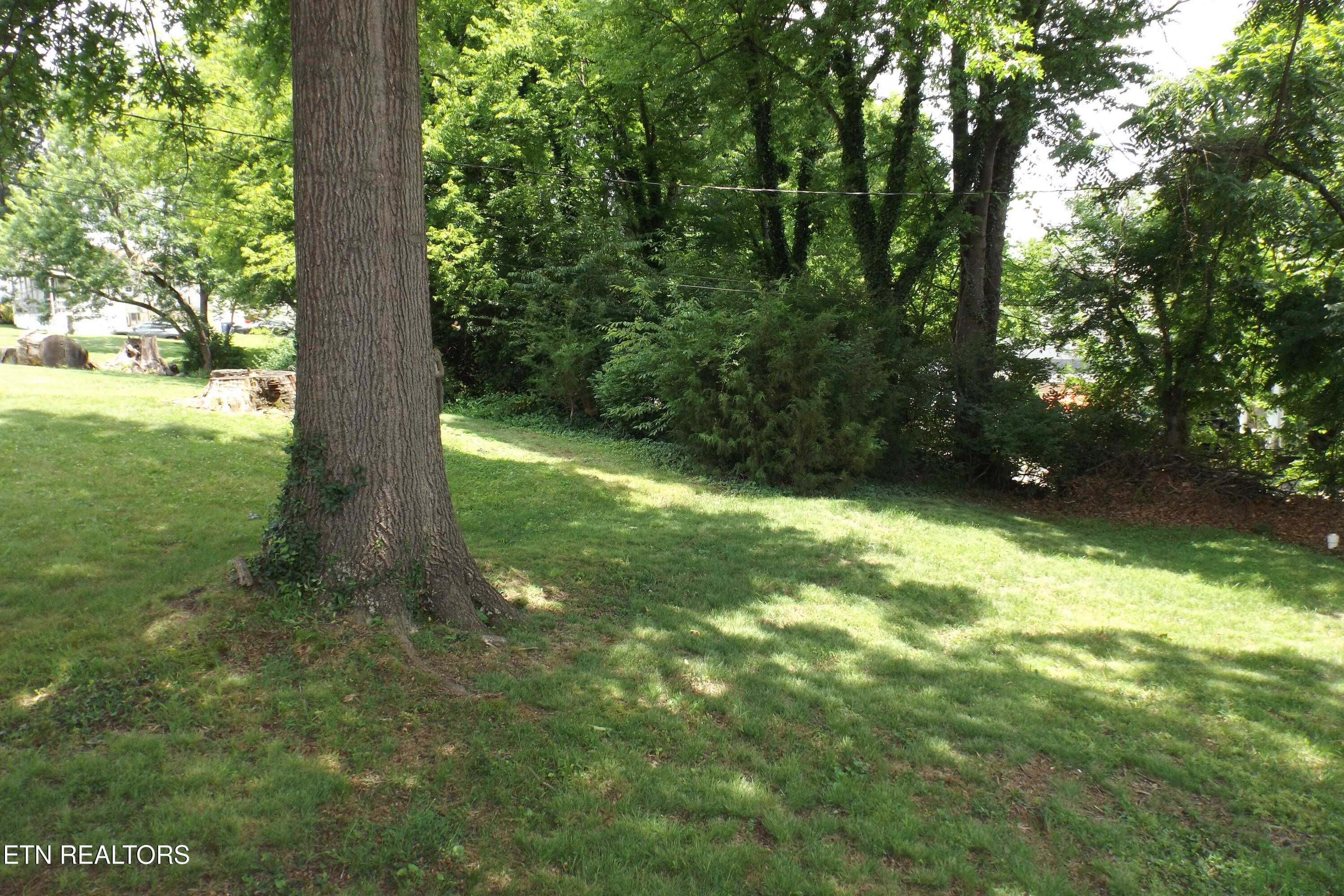 1230 Oakland Street Alcoa TN 37701