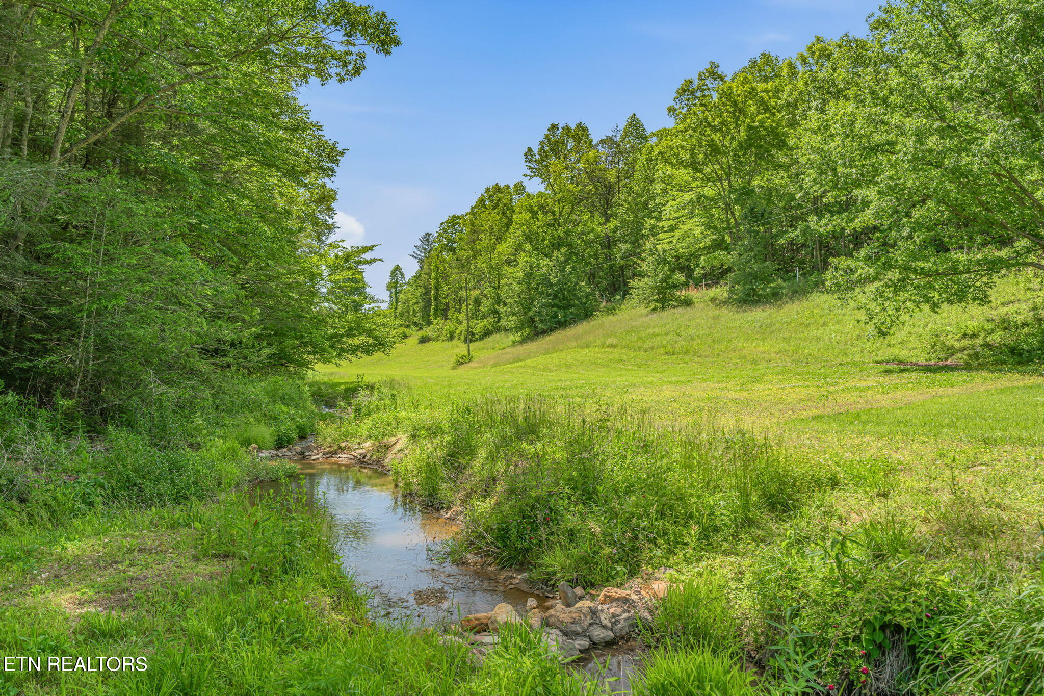 2380 Rafter Road Tellico Plains TN 37385