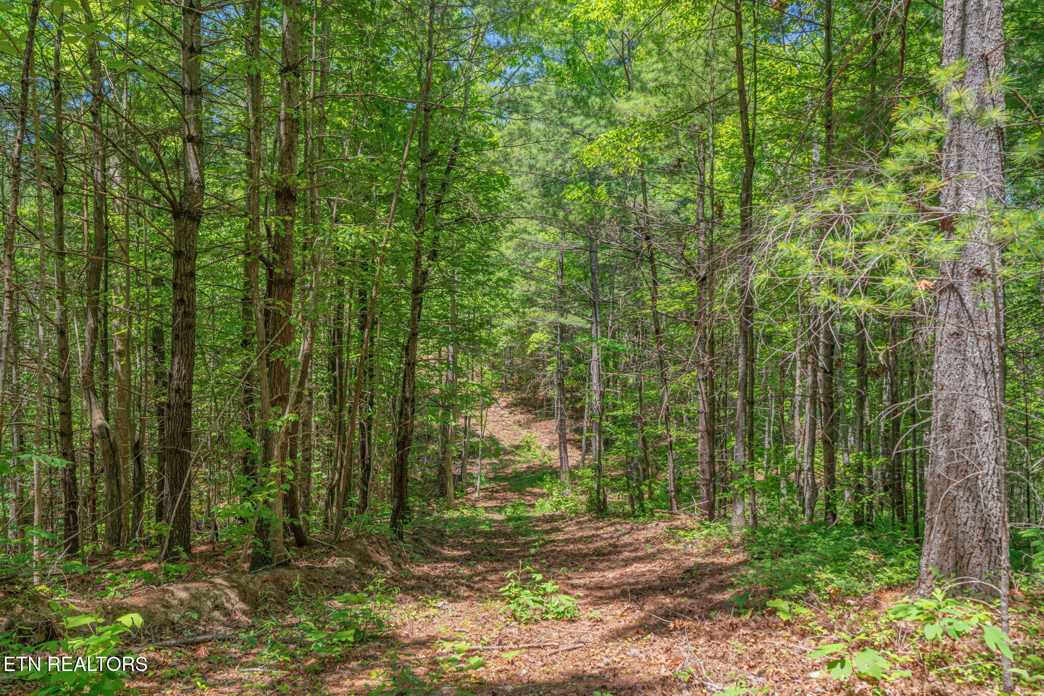 2380 Rafter Road Tellico Plains TN 37385